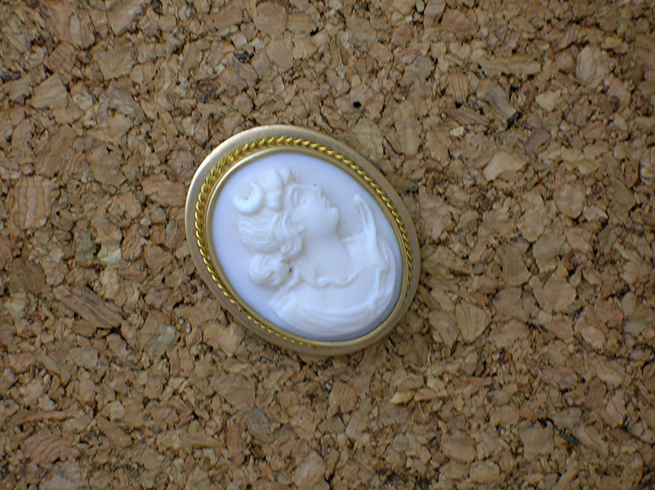 Brooch 10k-14K  Gold  Angel Skin Cameo