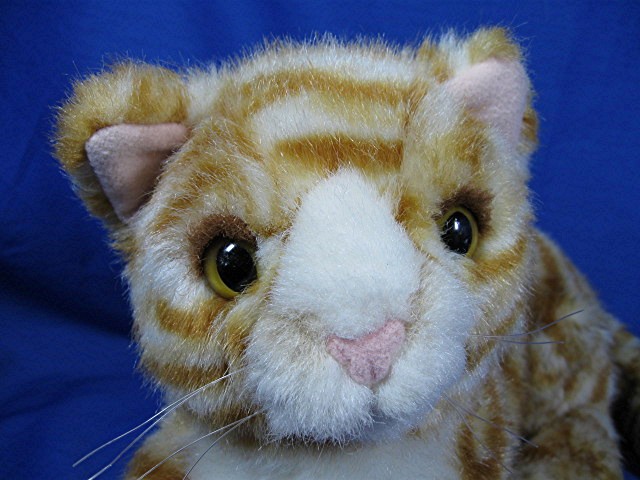 DAKIN pellet filled stripped Kitty