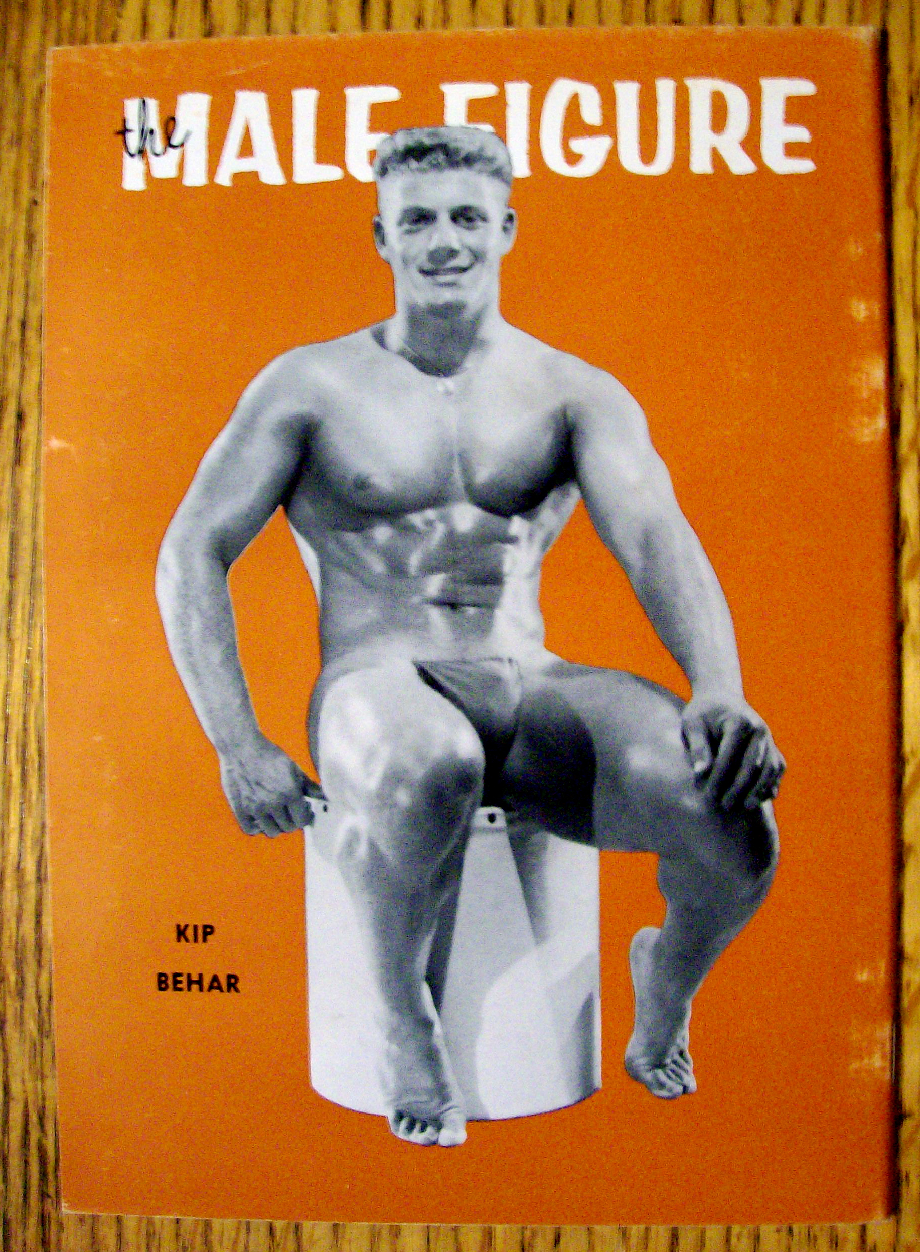 The Male Figure 1957 Jim Dillow - Gay Interest