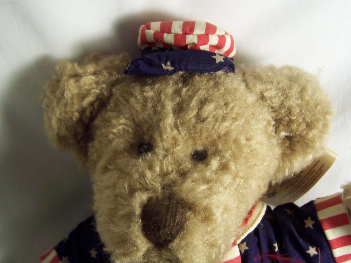 Russ George Teddy Bear Ode to America
