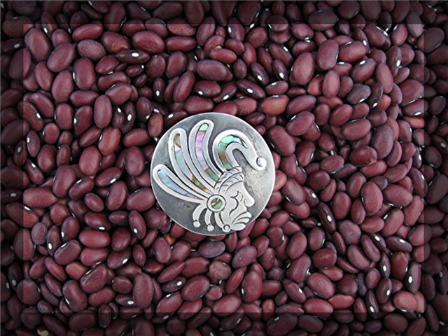 Sterling Silver Abalone Brooch Taxco mexico FTN
