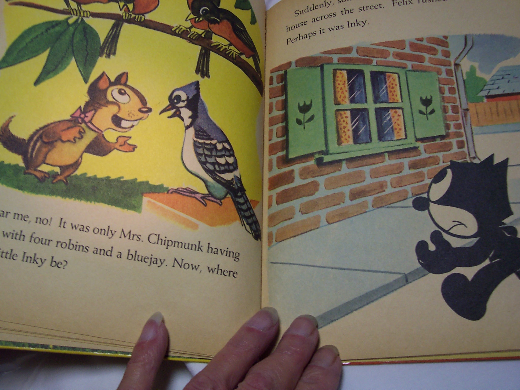 A Surprise For Felix Book Pat Sullivan 1959