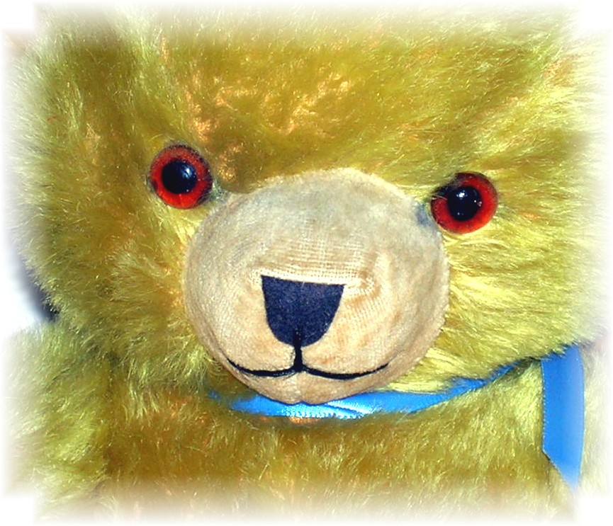 Mohair Jointed Teddy Bear Glass Eyes
