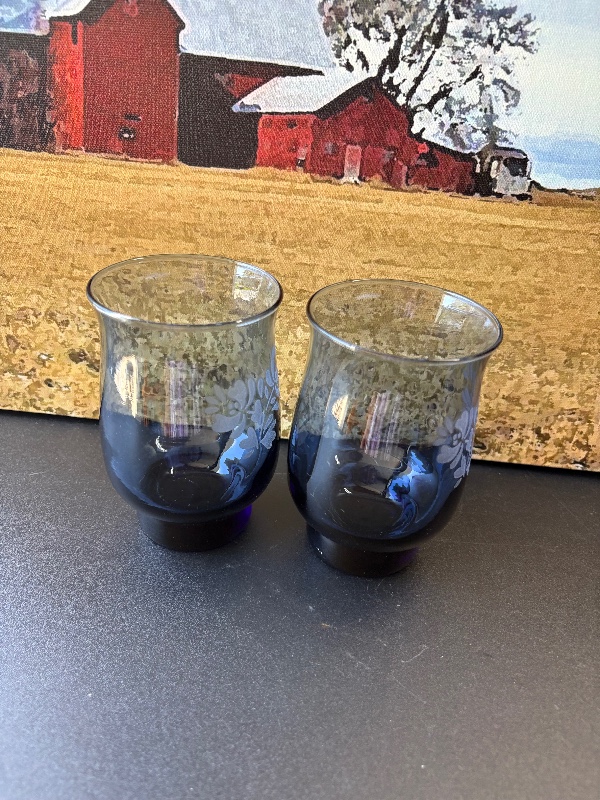 Pfaltzgraff Yorktown’s 12 fl oz tumblers 2pc set