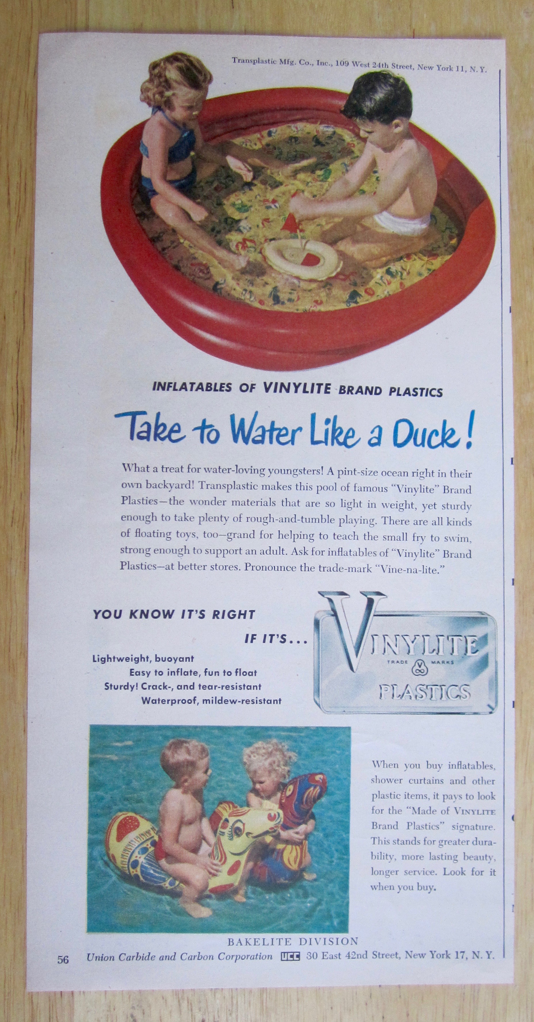 1950 Vinylite Plastics w/ a Pint Size Ocean in Backyard