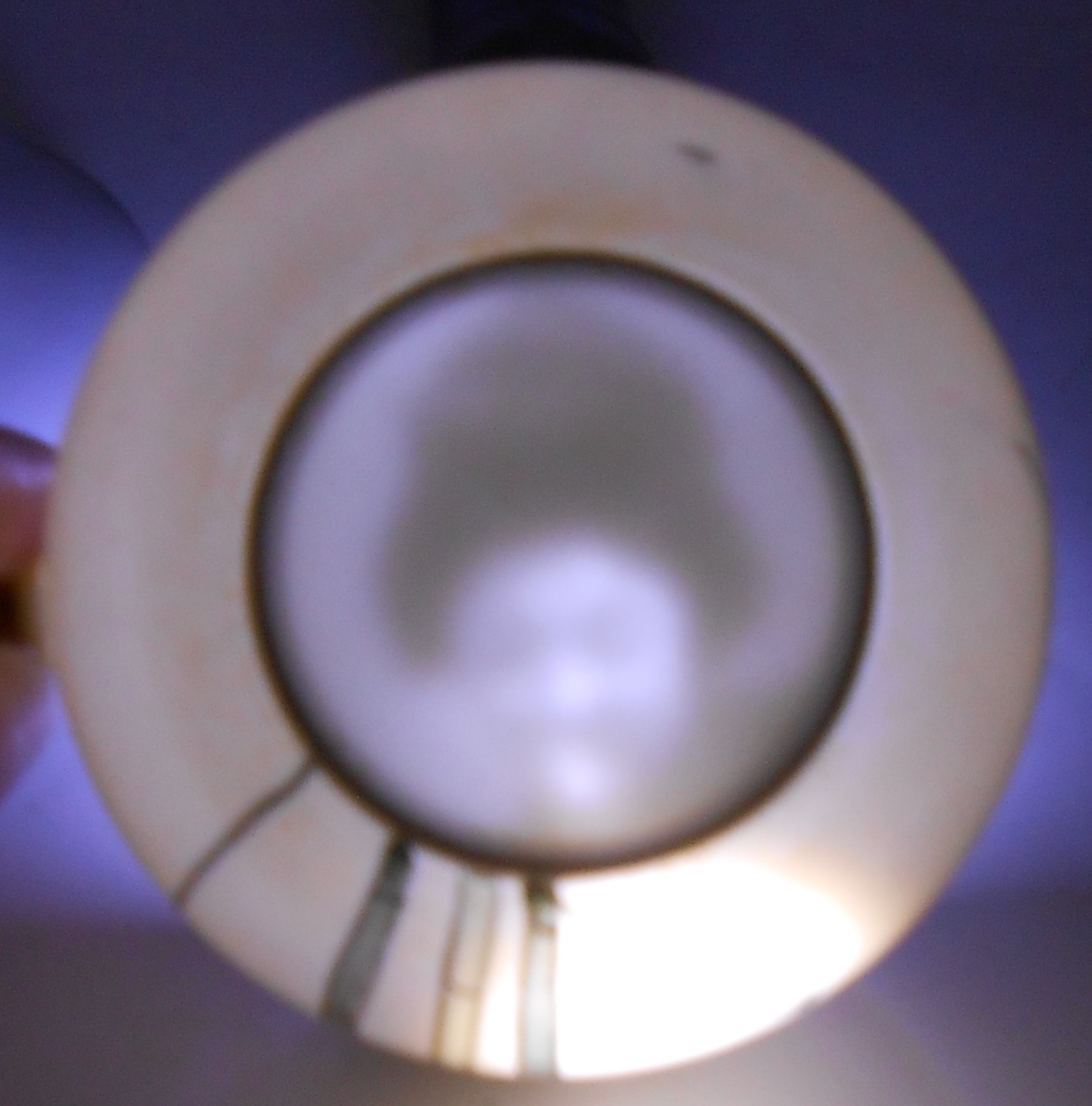 Nishida Japan Porcelain China 22 Yellow Black Lithopane