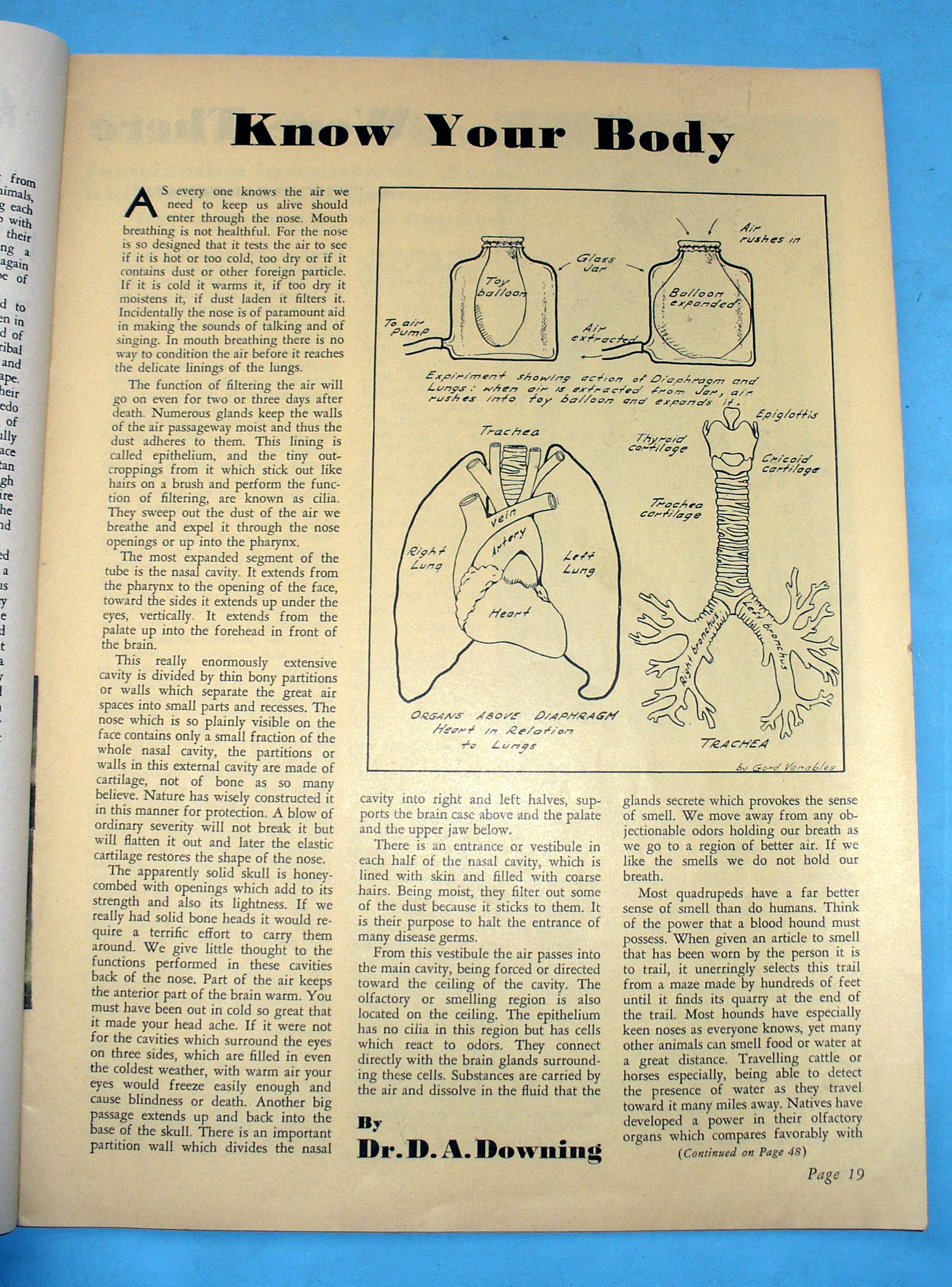 Strength & Health Magazine September 1938 Ed Zebrowski