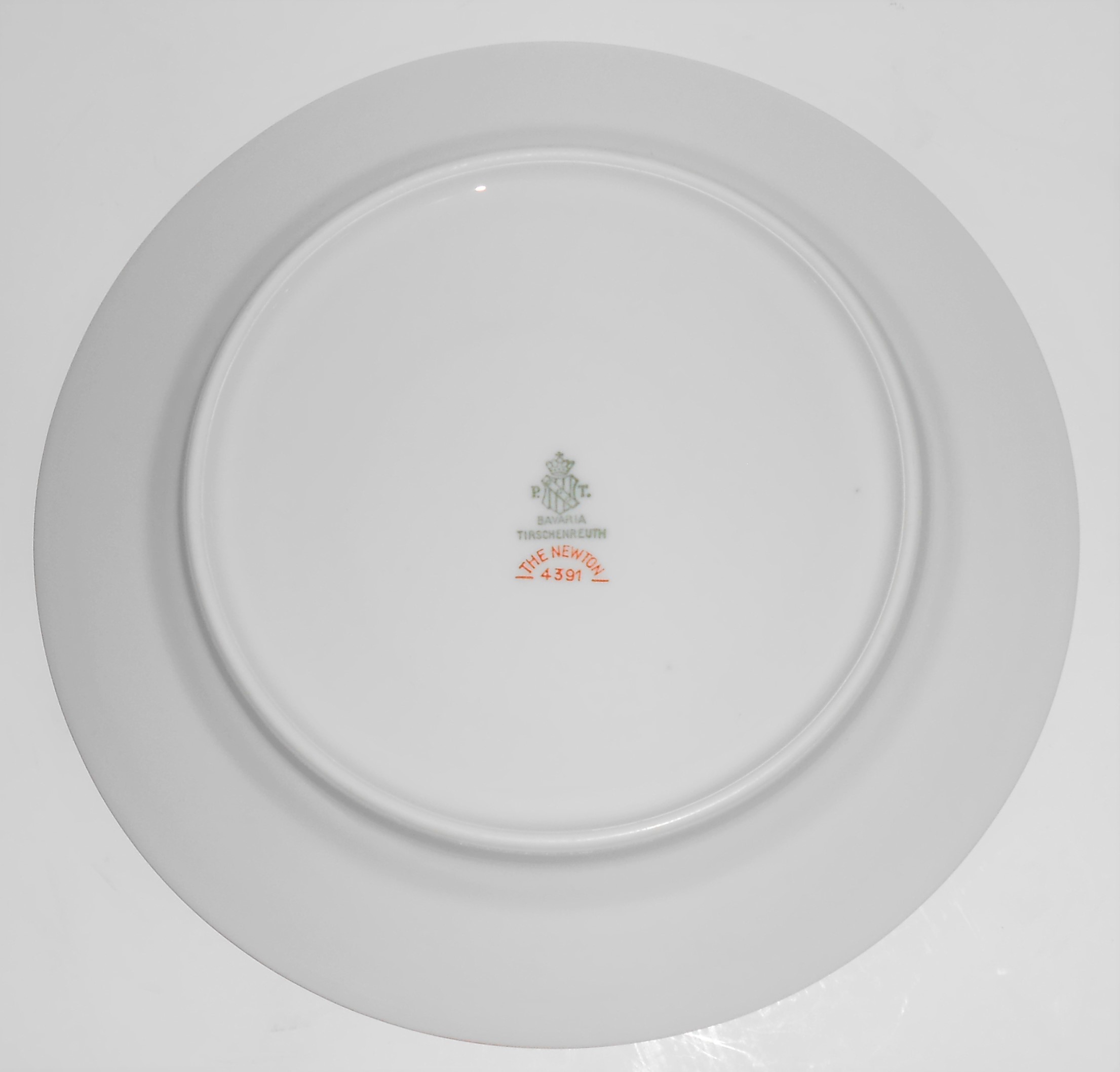 Tirschenreuth Porcelain China The Newton Salad Plate