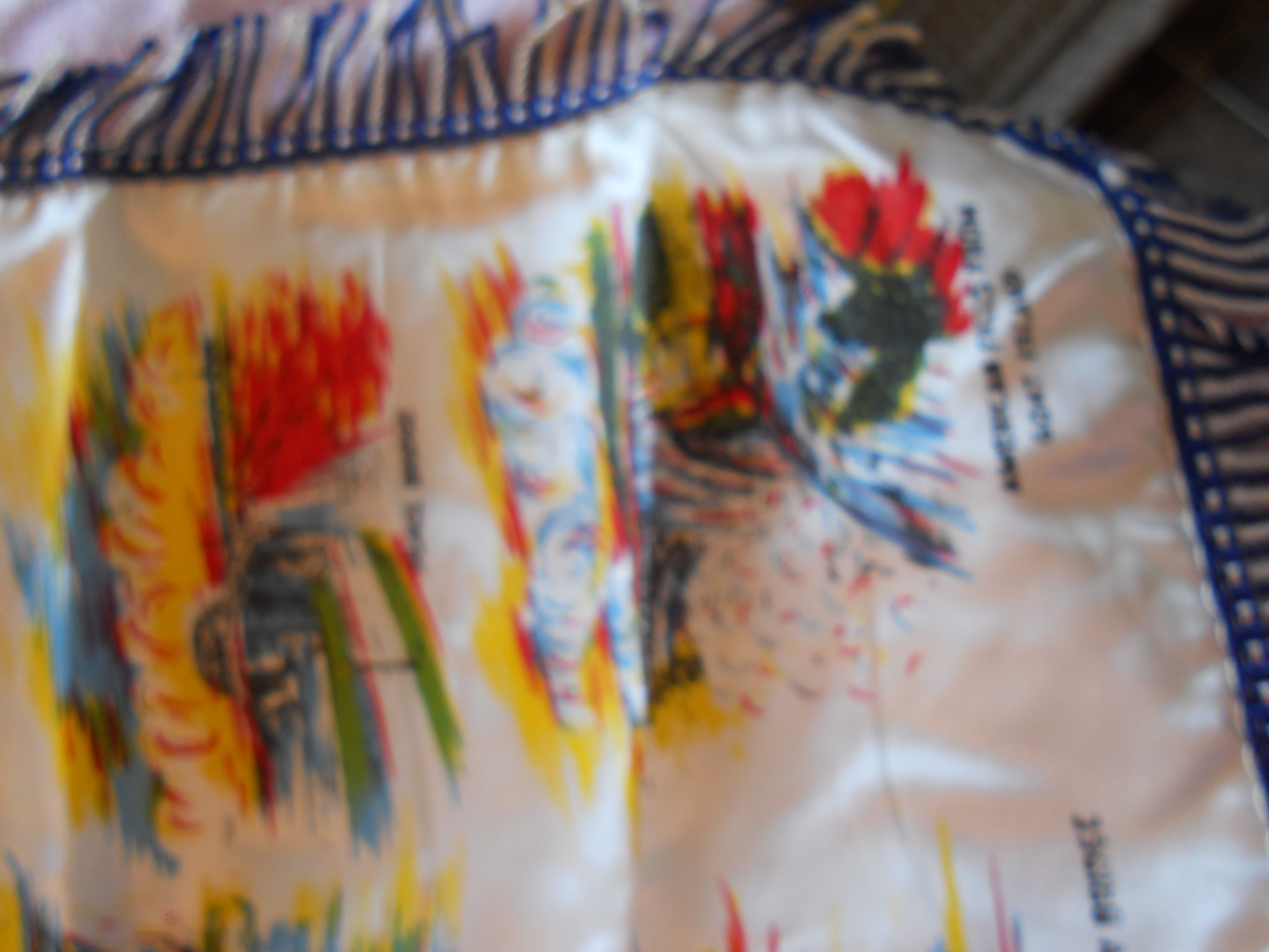 Souvenir Niagara Falls Canada Pillow Cover