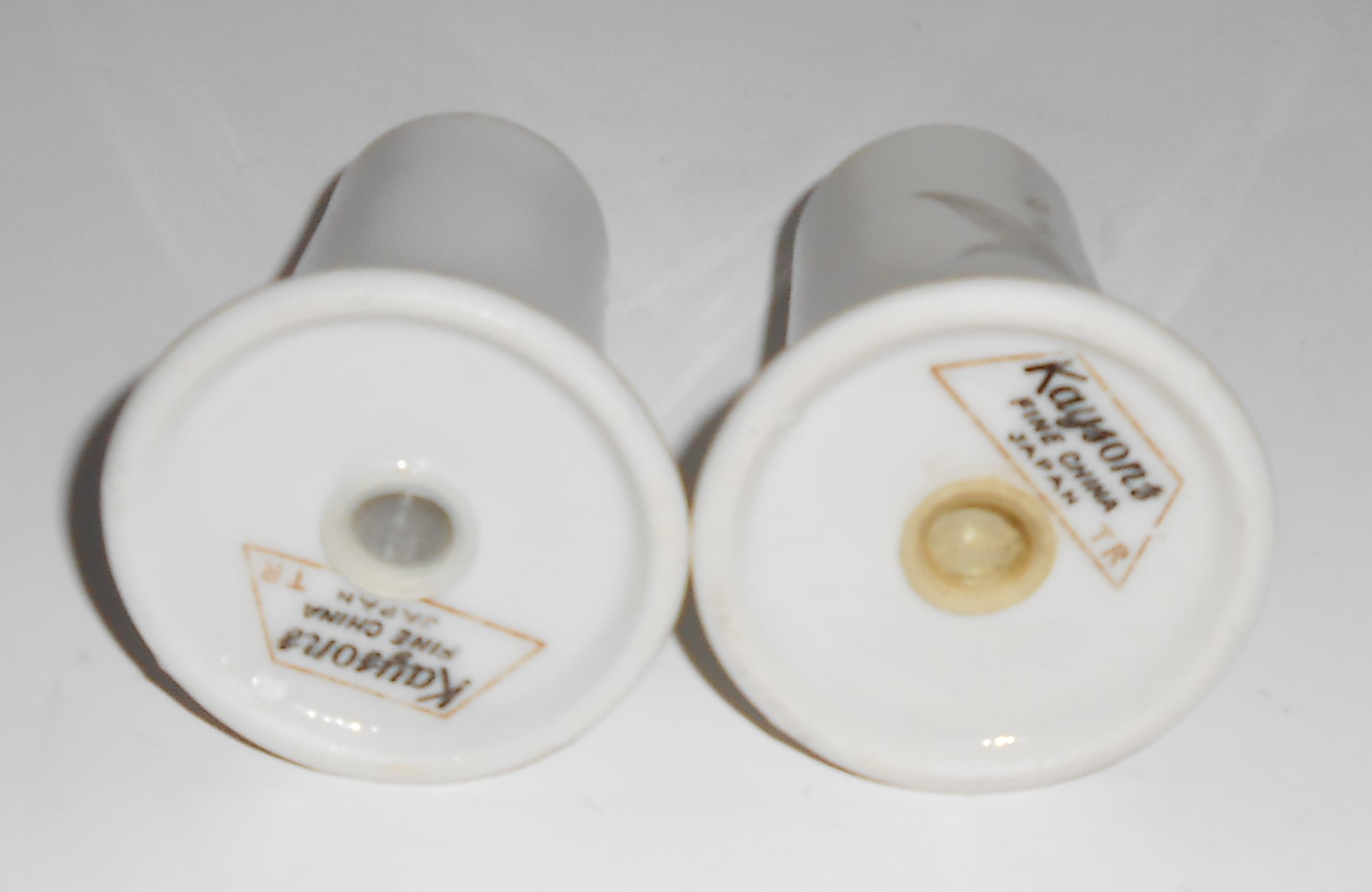Kaysons China Porcelain Golden Rhapsody Salt & Pepper