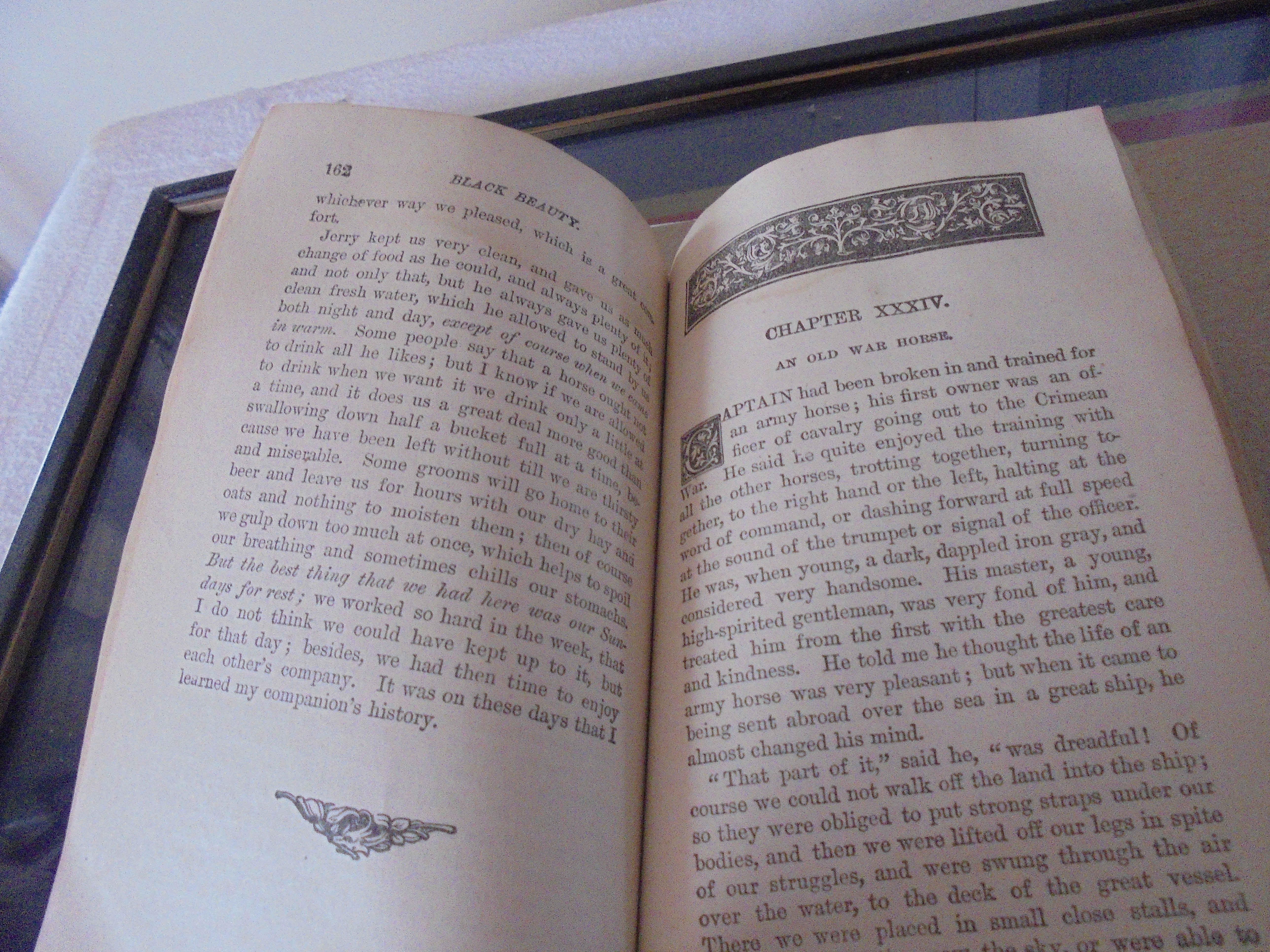 Black Beauty Ten Cent Classics 1898
