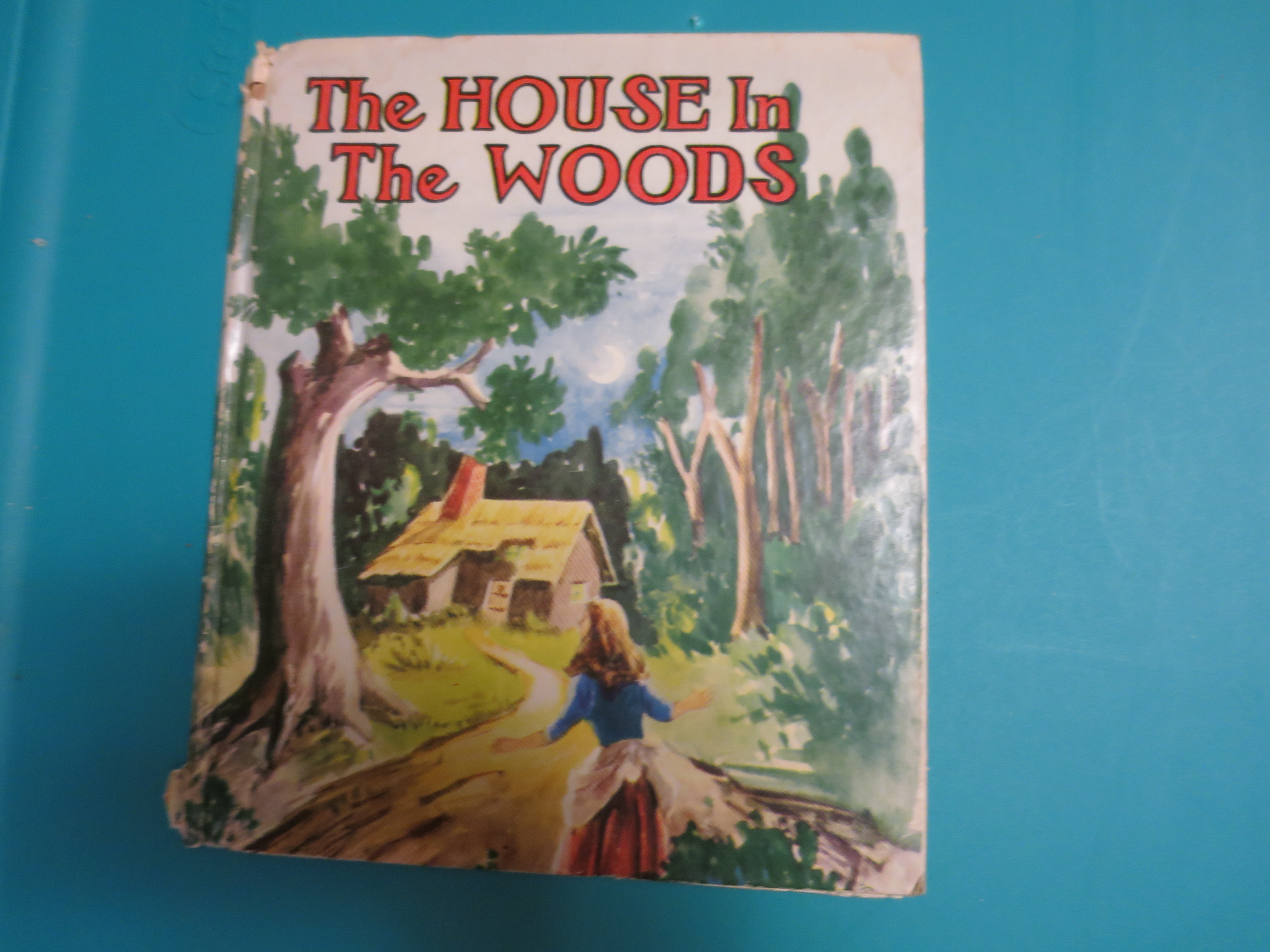House in The Woods Book 1955