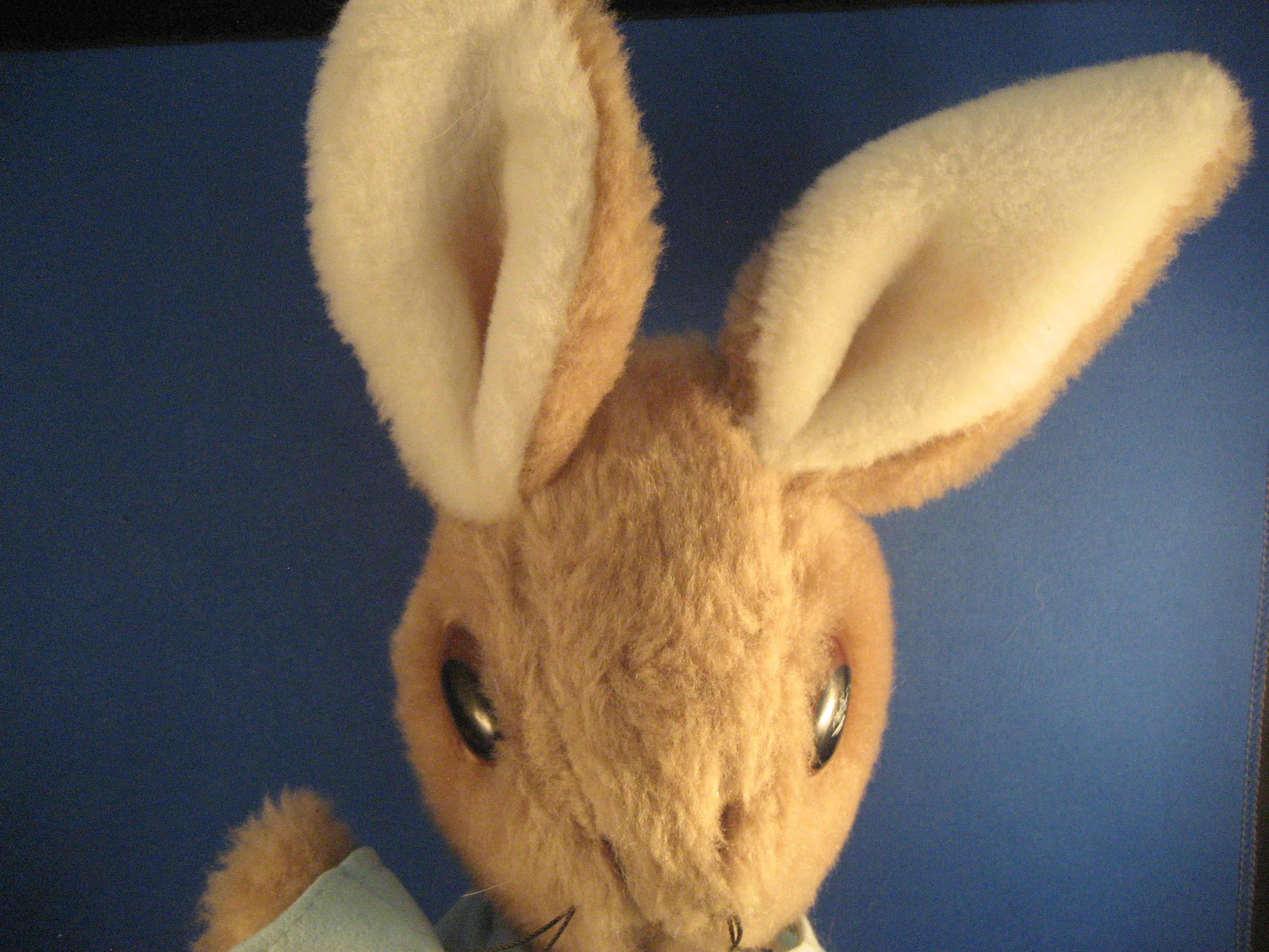 Eden Peter Rabbit Stuffed Toy