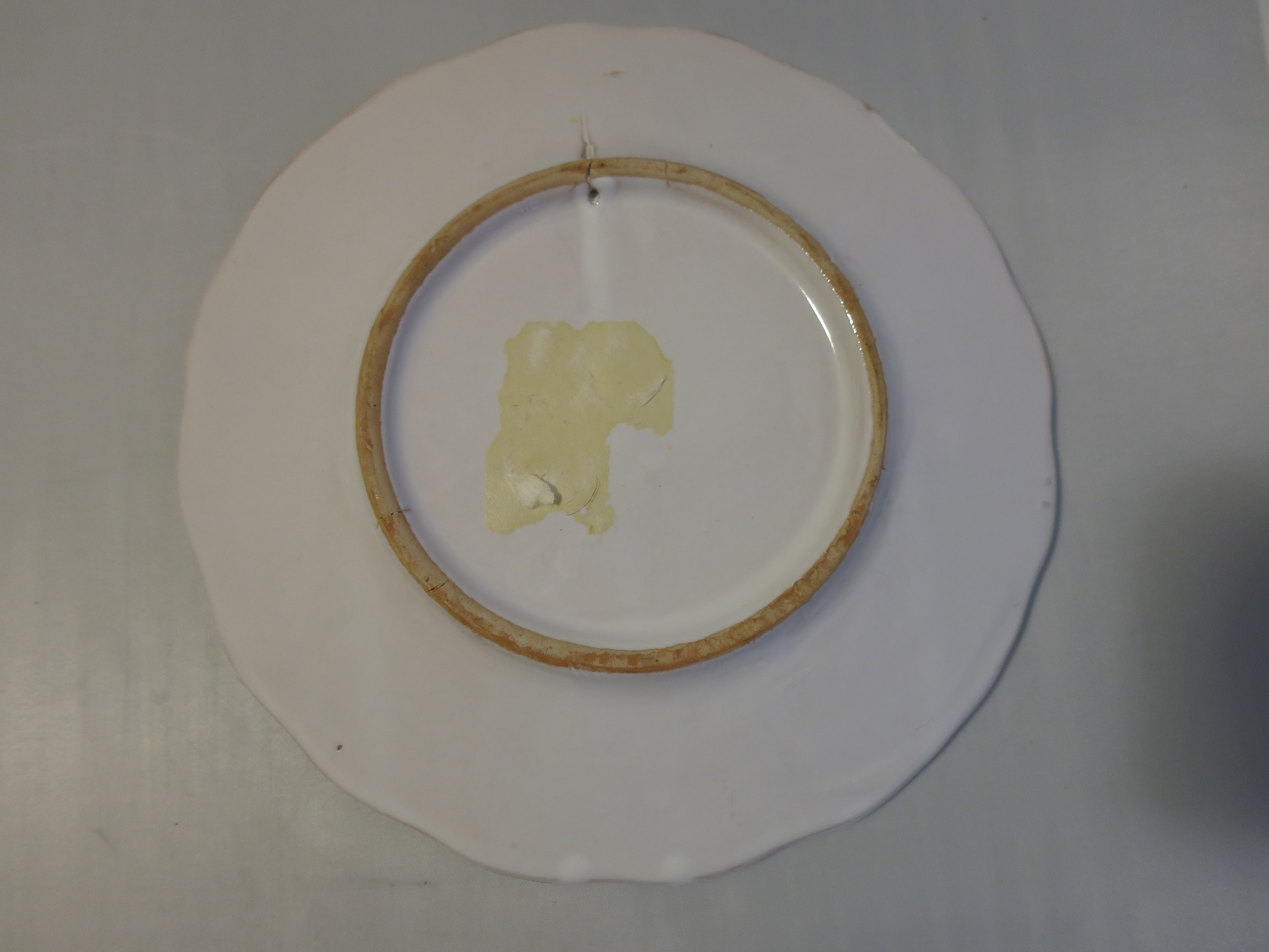 Nautical Bubble Blowing Fish Star Fish Snail Plate