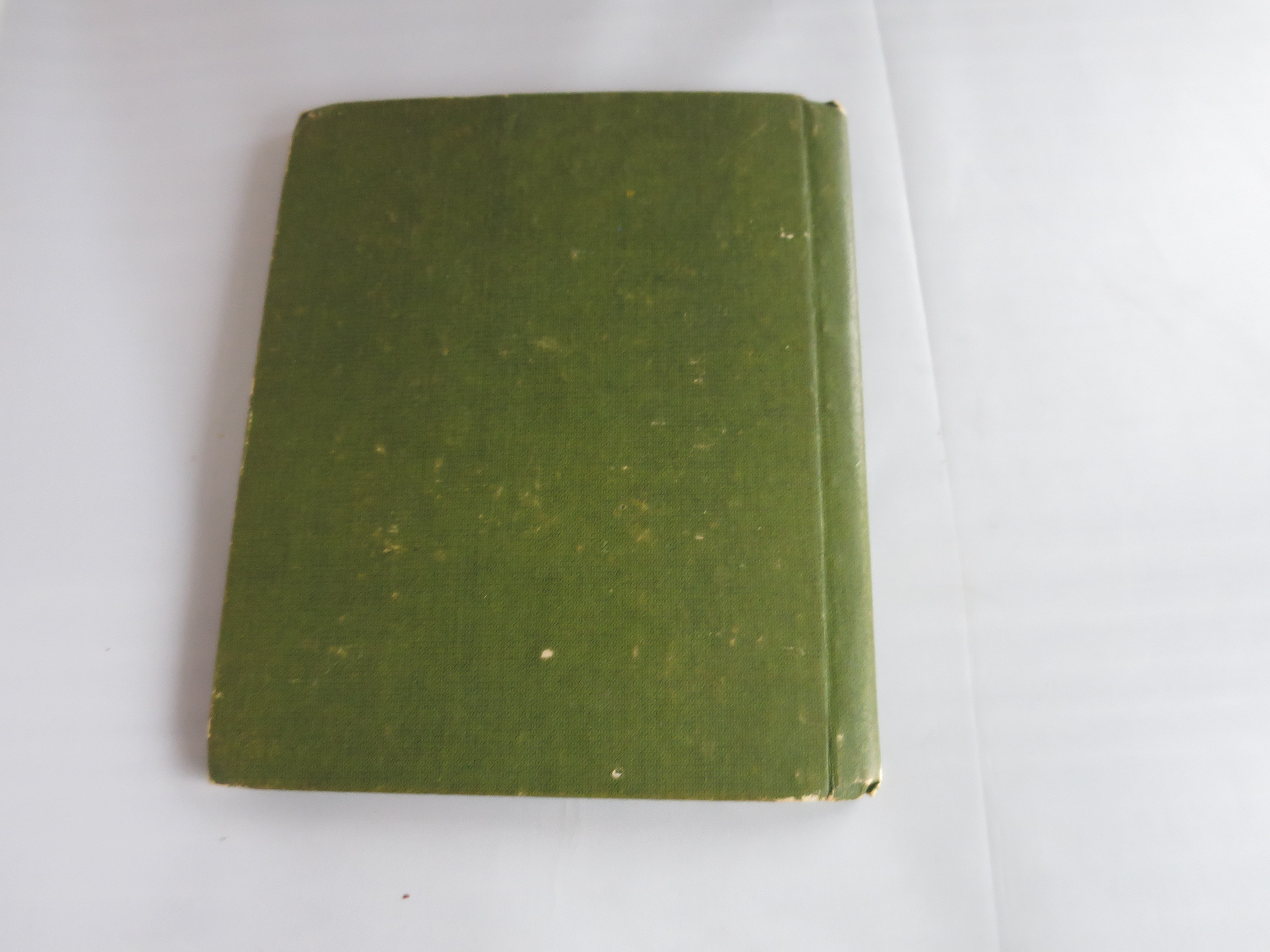 Sunny Hours Children's Book best guess circa 1920s