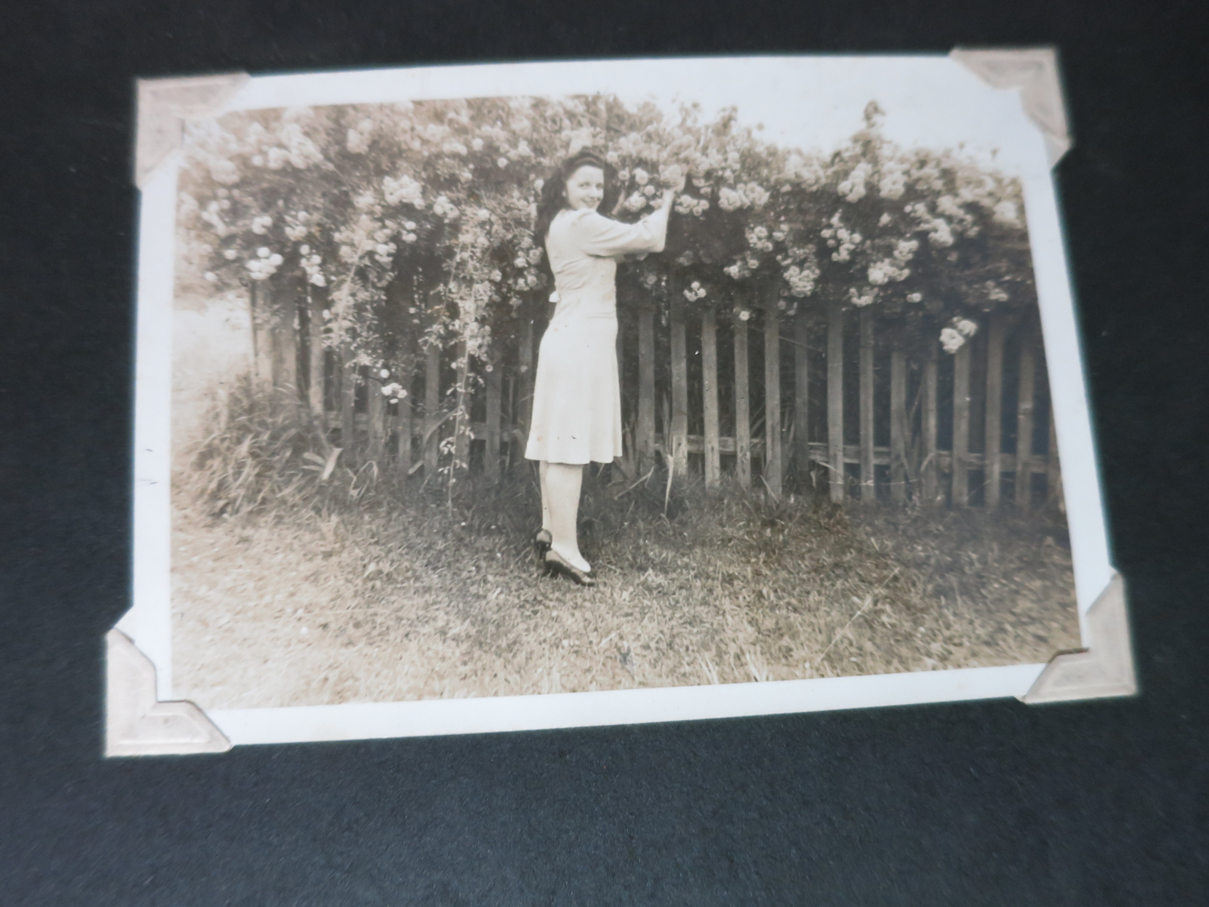 WWII World War 2 Military Black and White Photographs Nurse 55 pc
