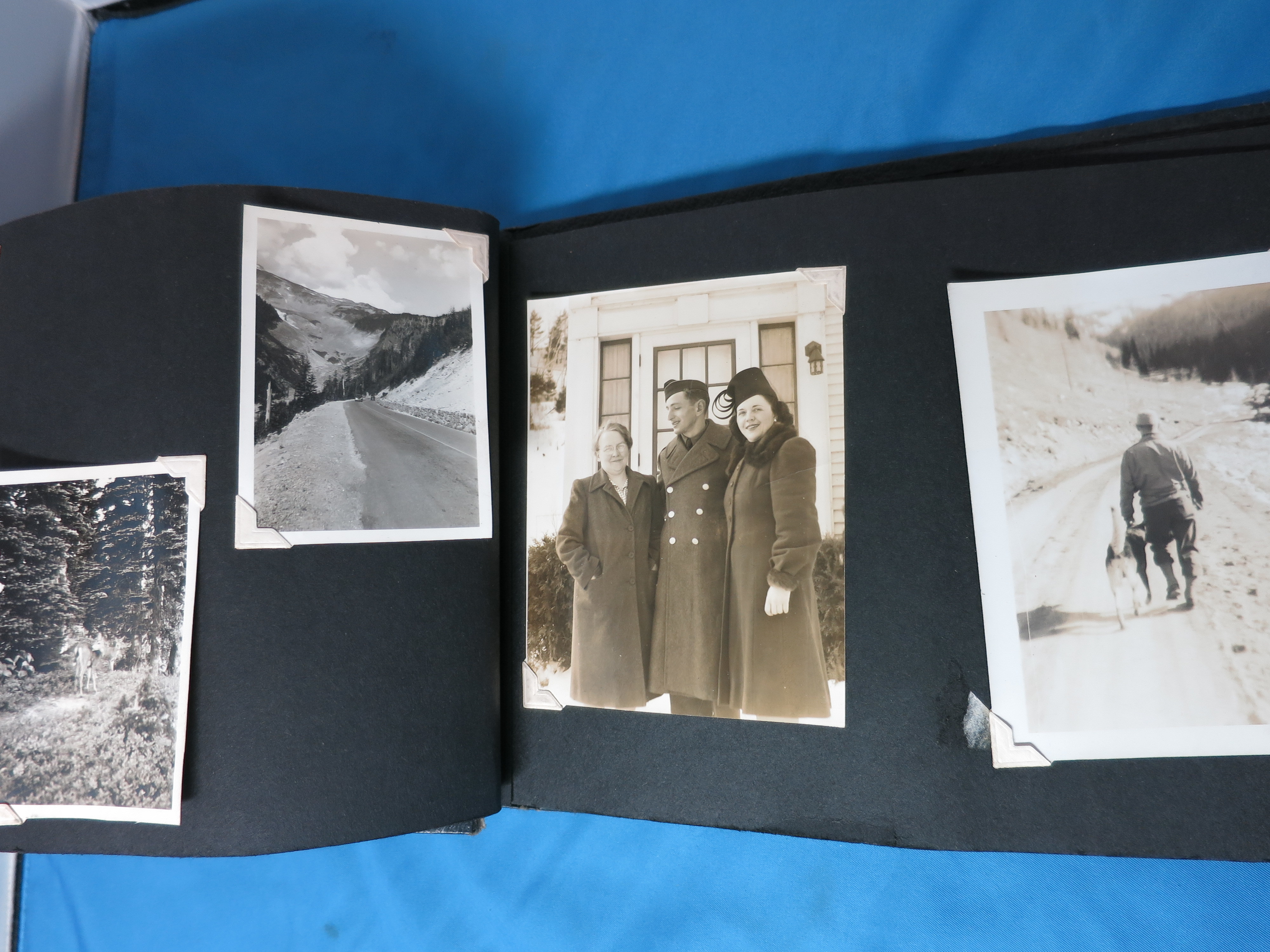 WWII World War 2 Military Black and White Photographs Nurse 55 pc