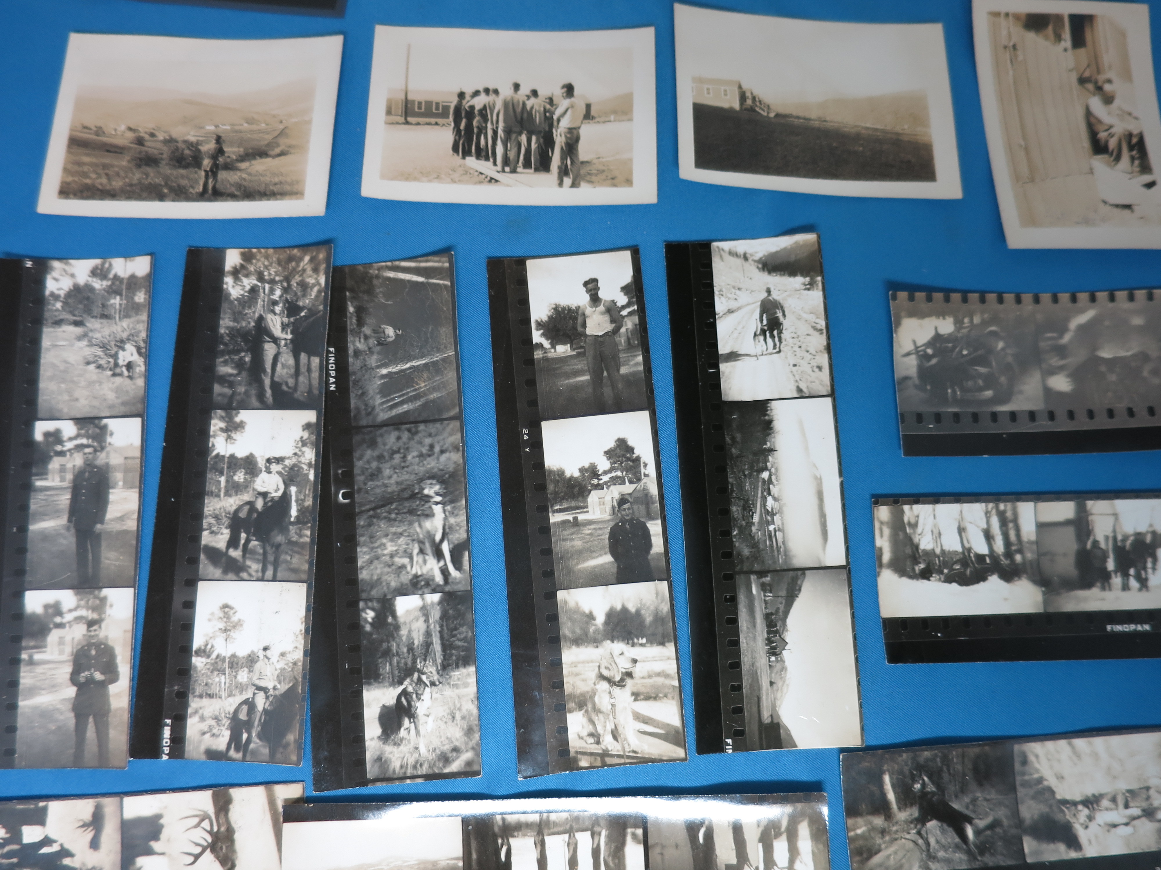 WWII World War 2 Military Black and White Photographs Nurse 55 pc