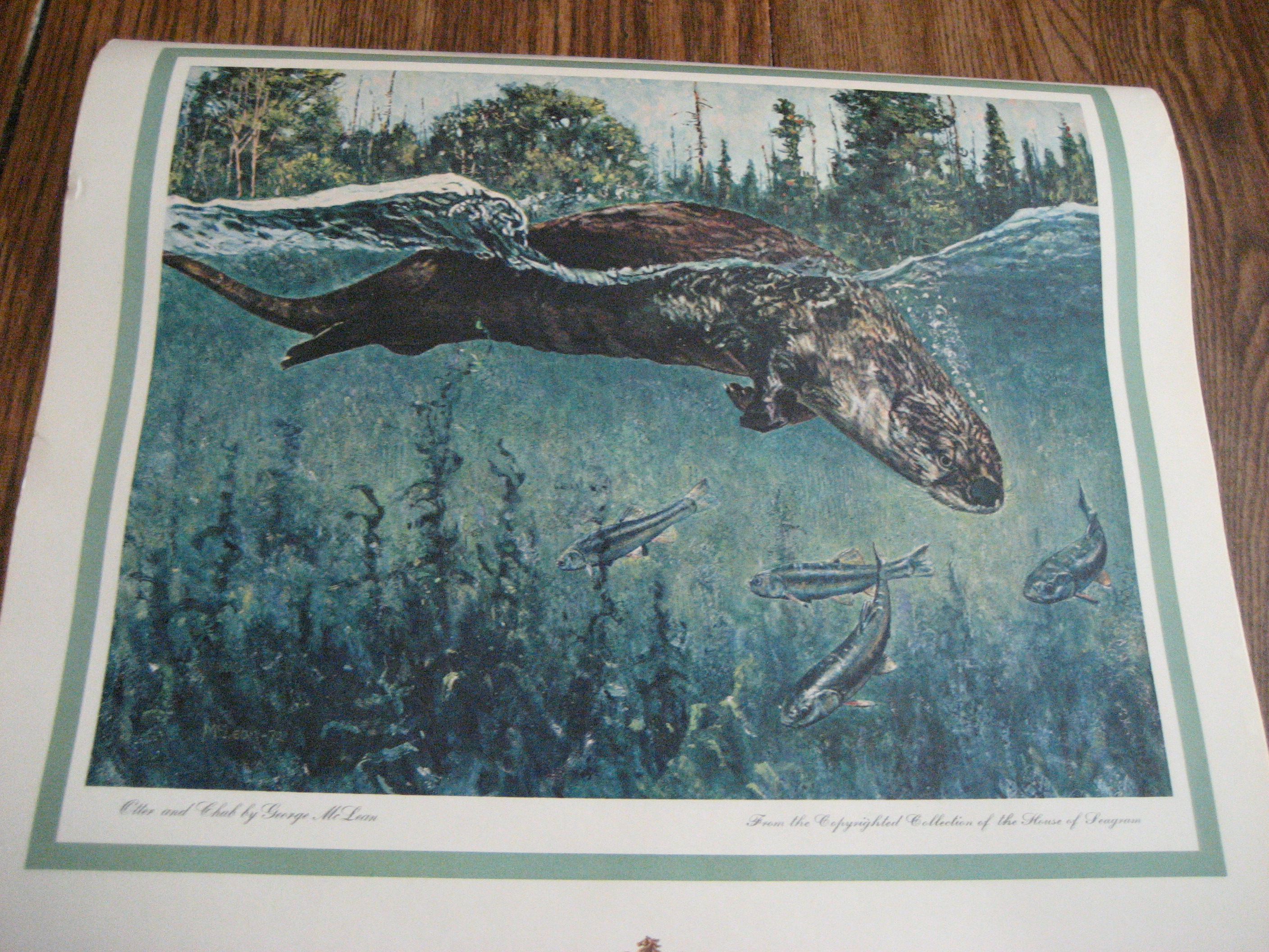 Seagram Whiskey DeFeo, Mclean, Schilling Wildlife Poster