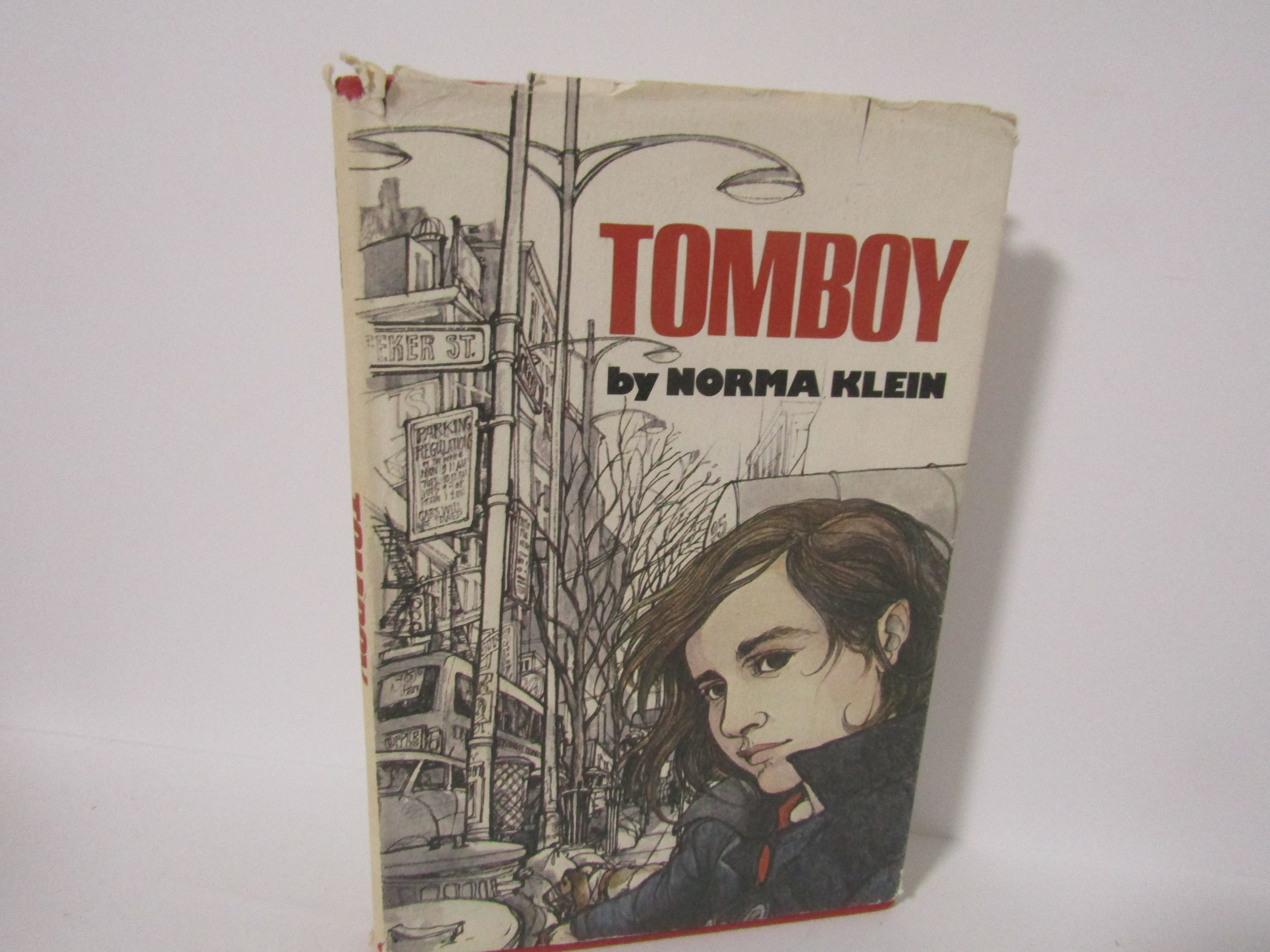 Vintage Young Girls Adventure Story Tomboy