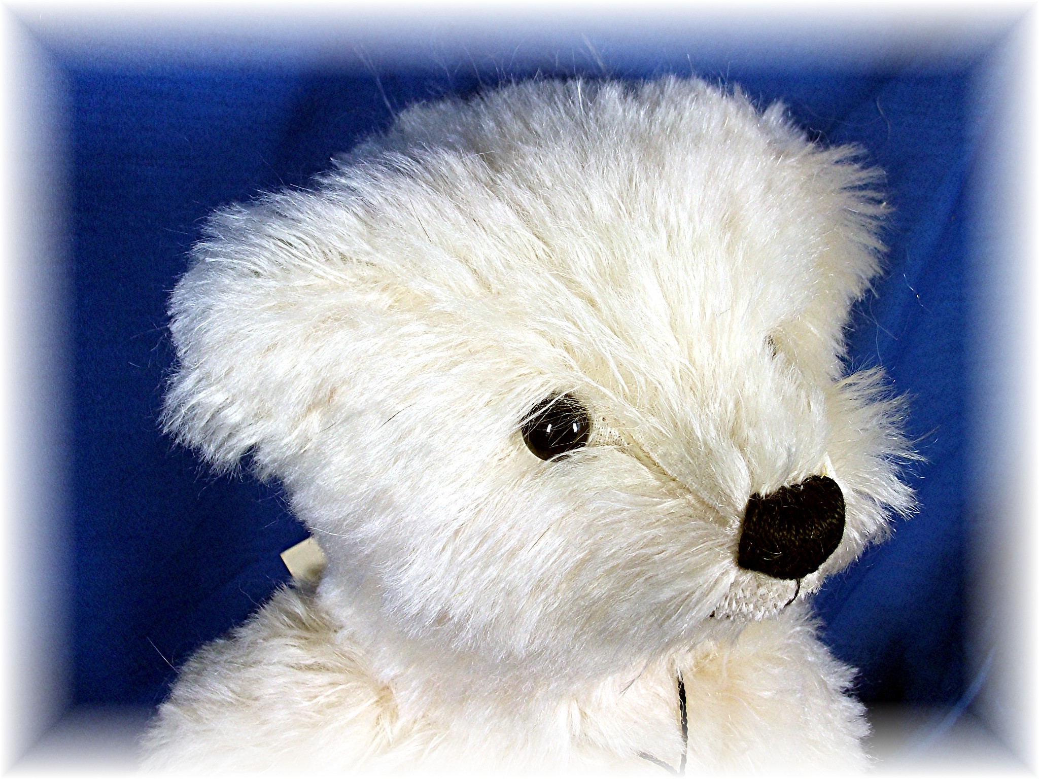 Bear Dean's Queen Elizabth Golden Jubilee limited Editi