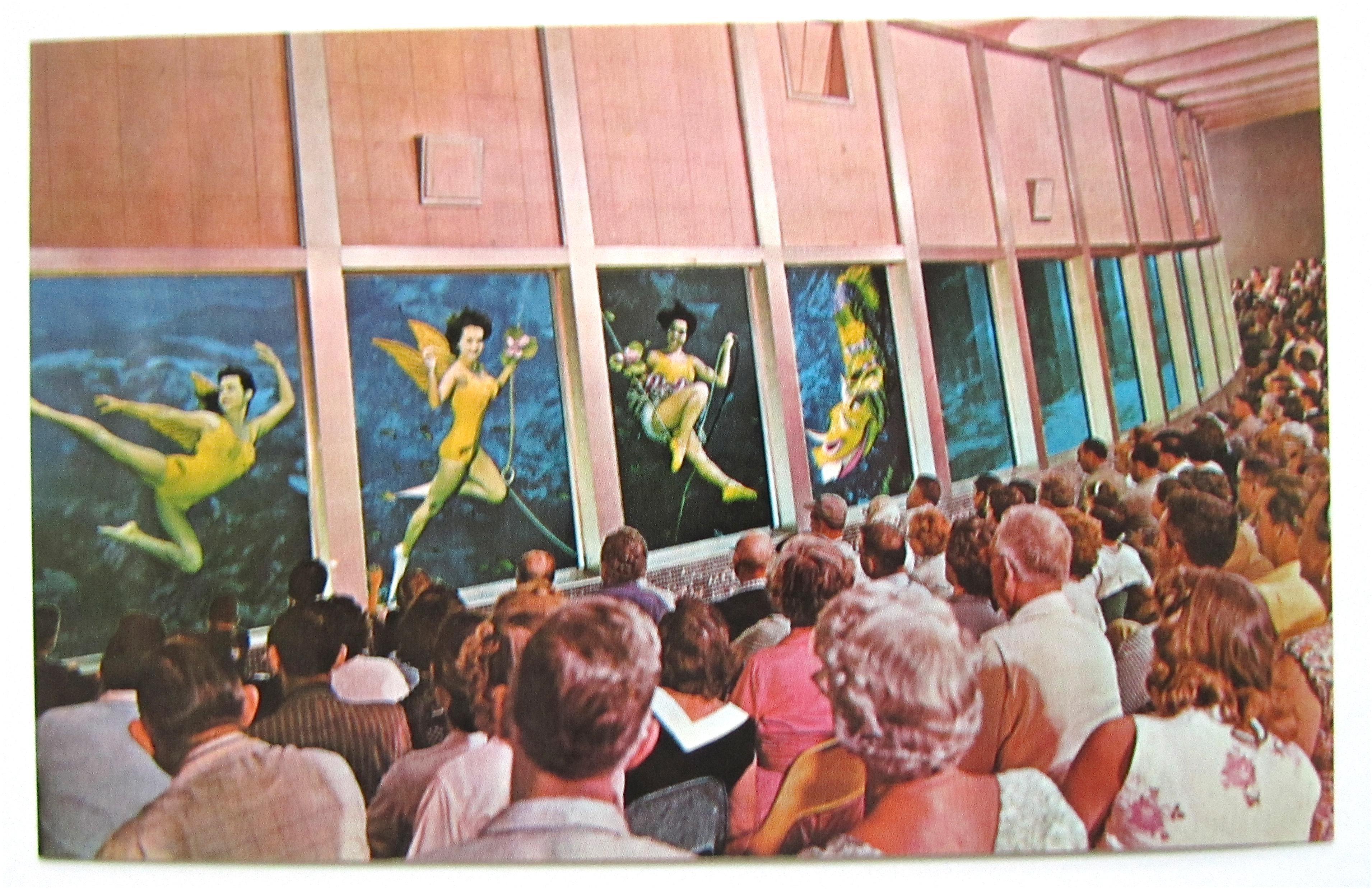 Weeki Wachee Visitors View Florida Mermaids Postcard