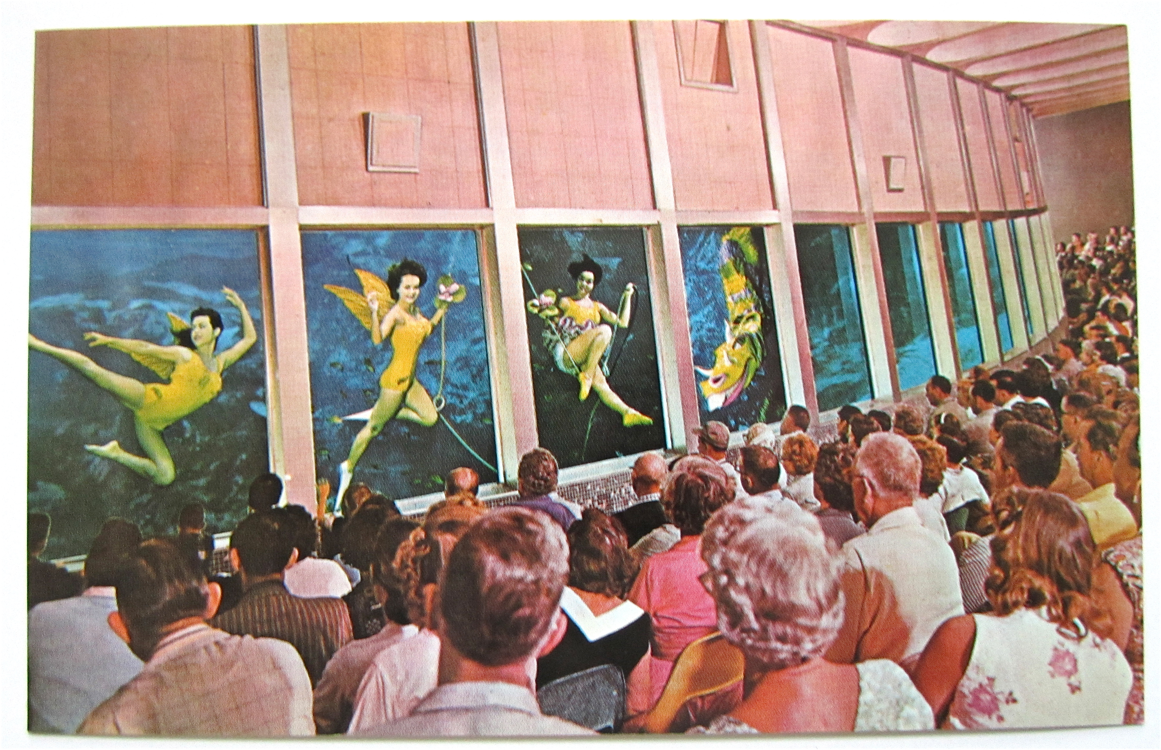Weeki Wachee Visitors View Florida Mermaids Postcard