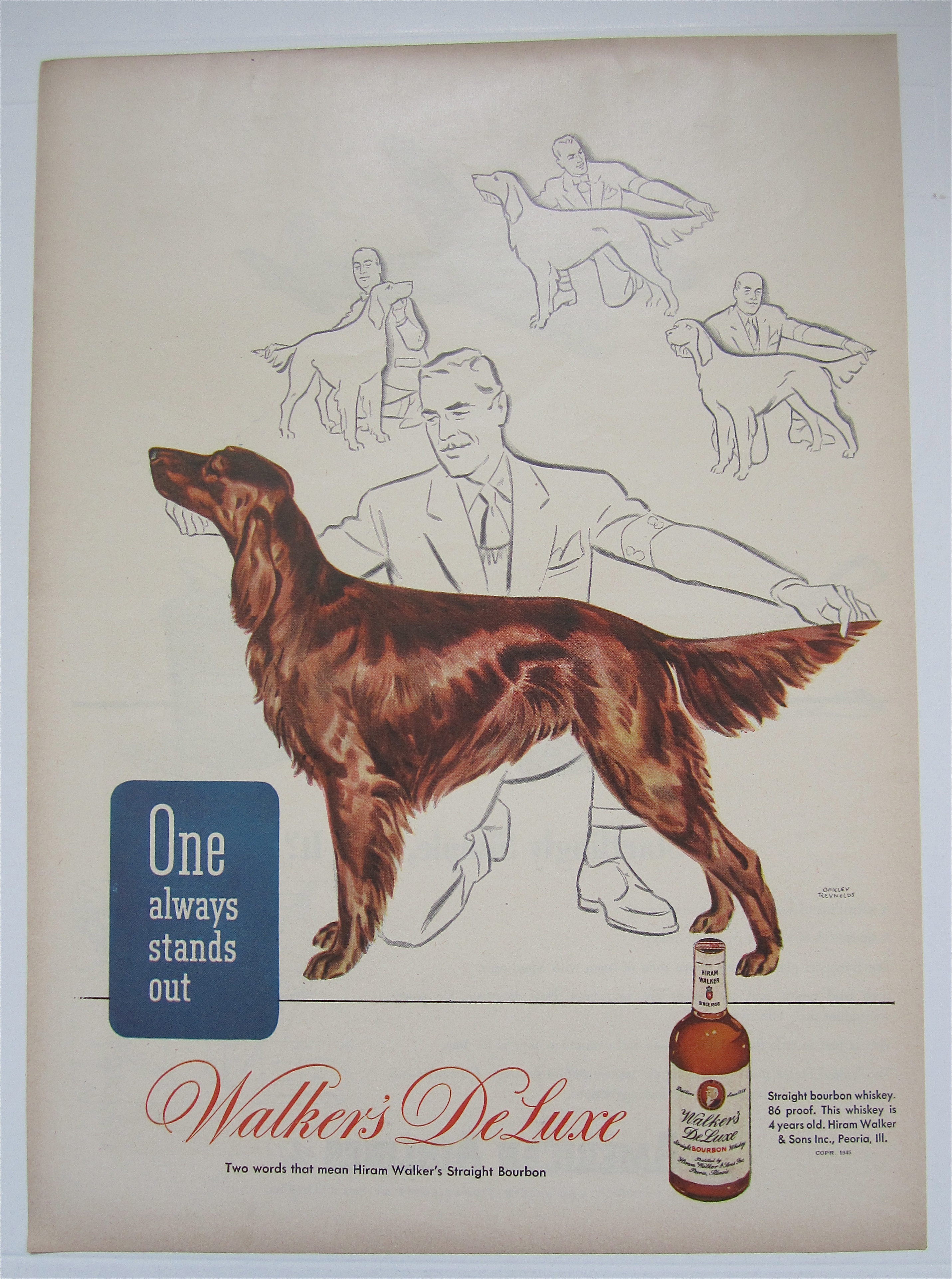 1945 Walker's Deluxe Whiskey with Man Looking at Dog