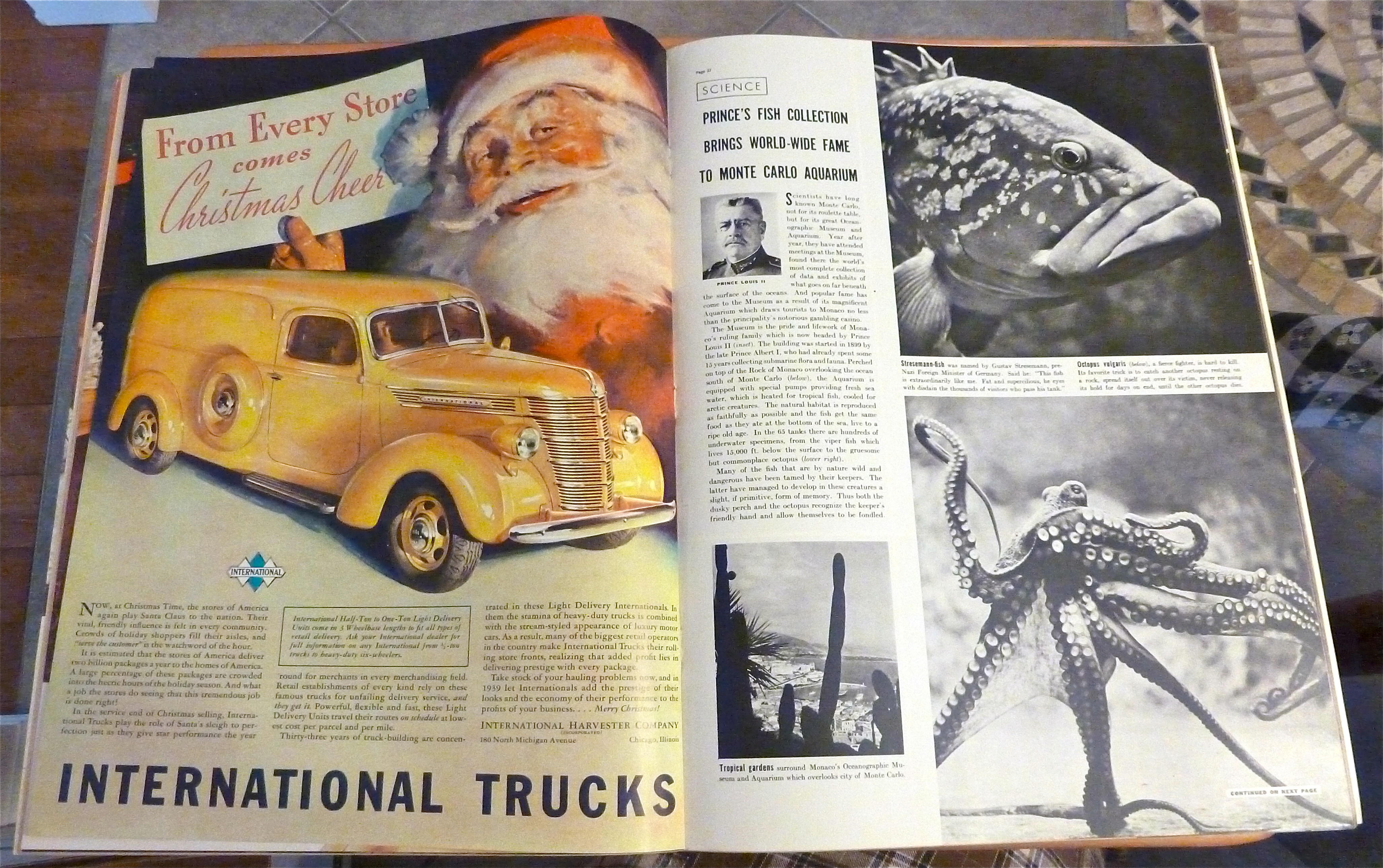 Life Magazine-December 19, 1938-Mary Martin