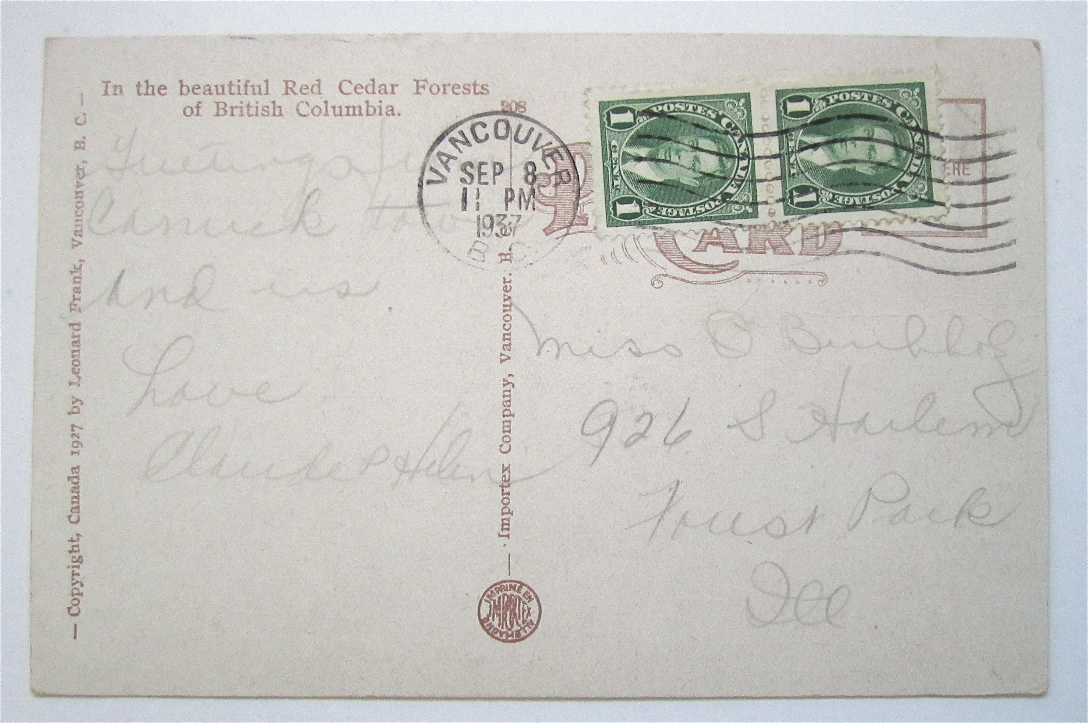 Red Cedar Forests Of British Columbia Postcard