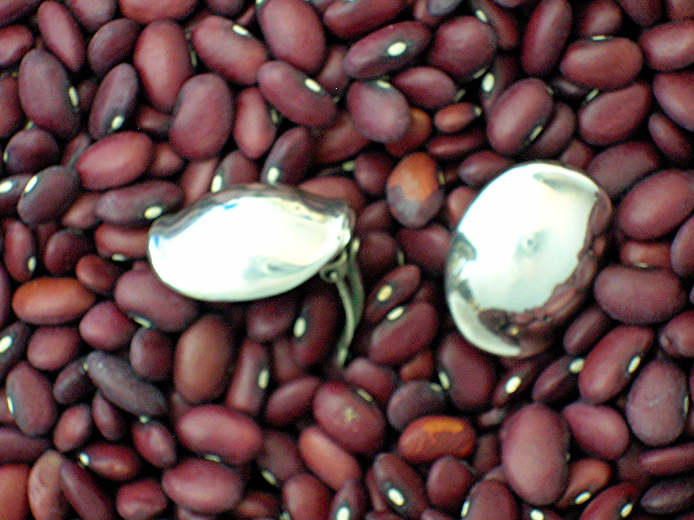 Mexico Sterling Silver Signed JONDELL Clip Earrings