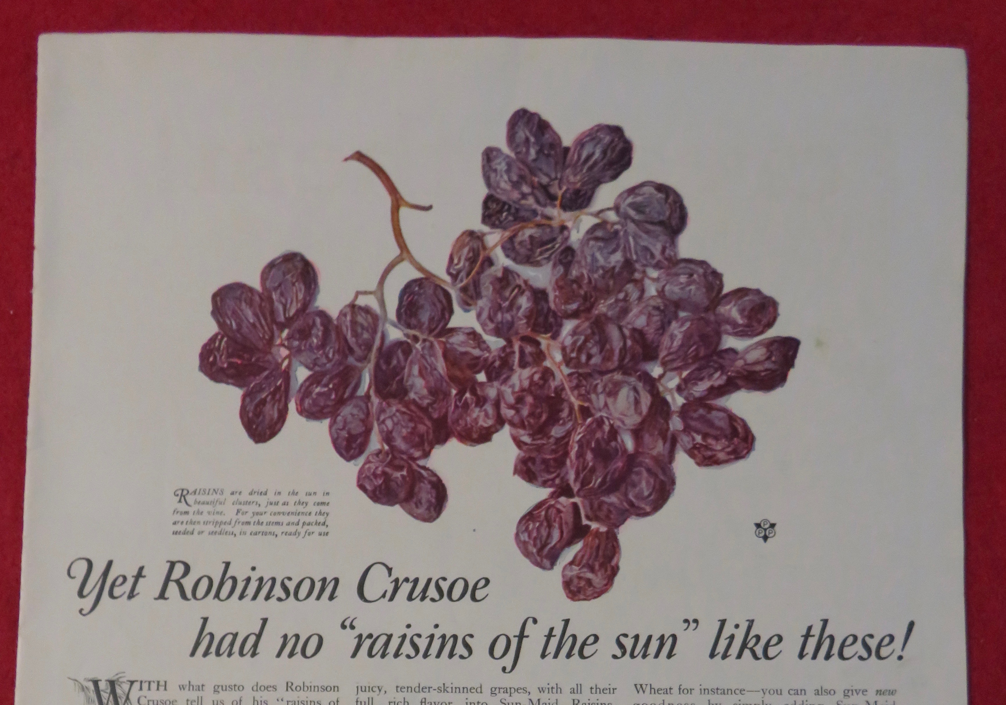 1923 Sun Maid Raisins with A Cluster Of Raisins