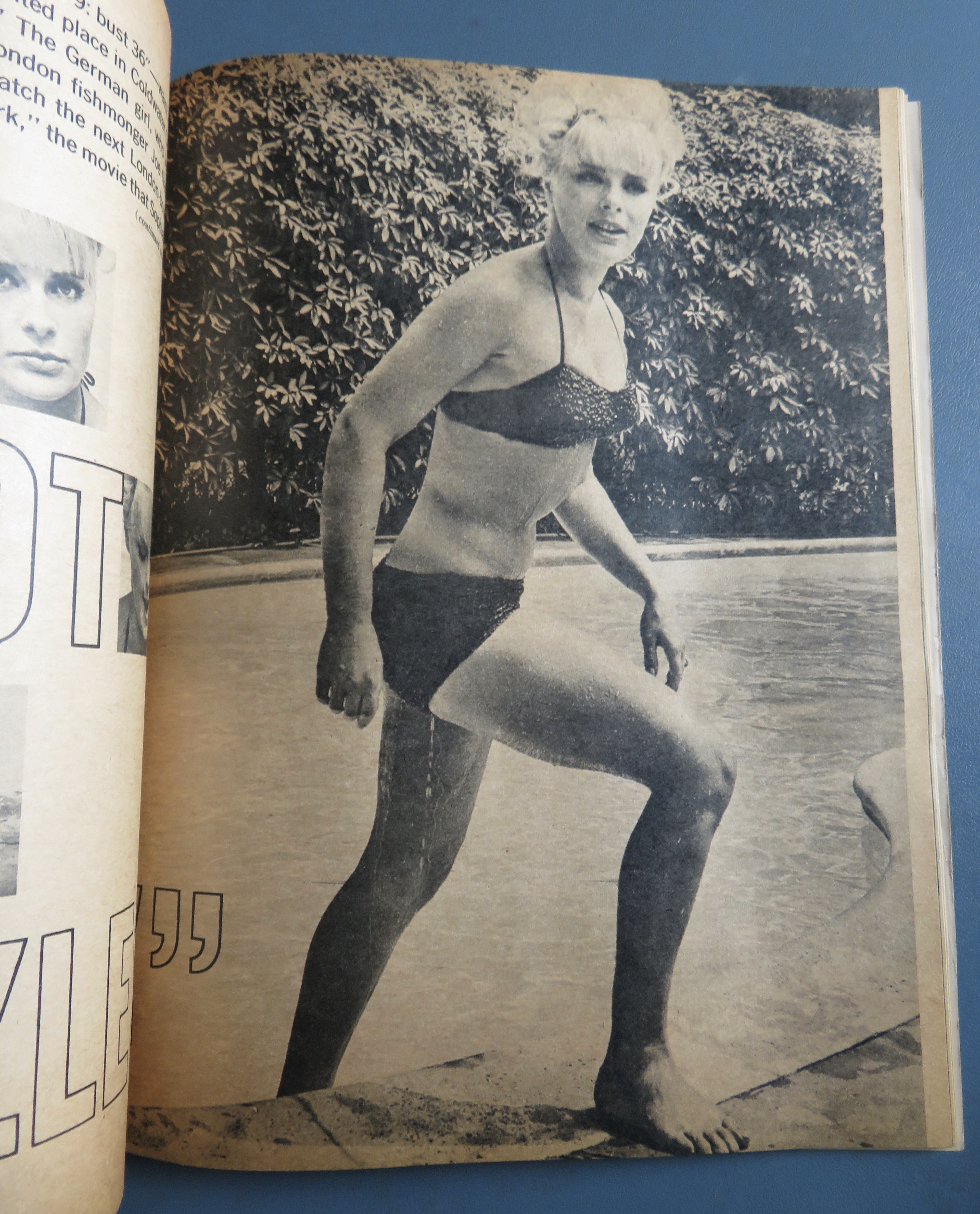 Screen Stories Magazine February 1964 Elke Sommer