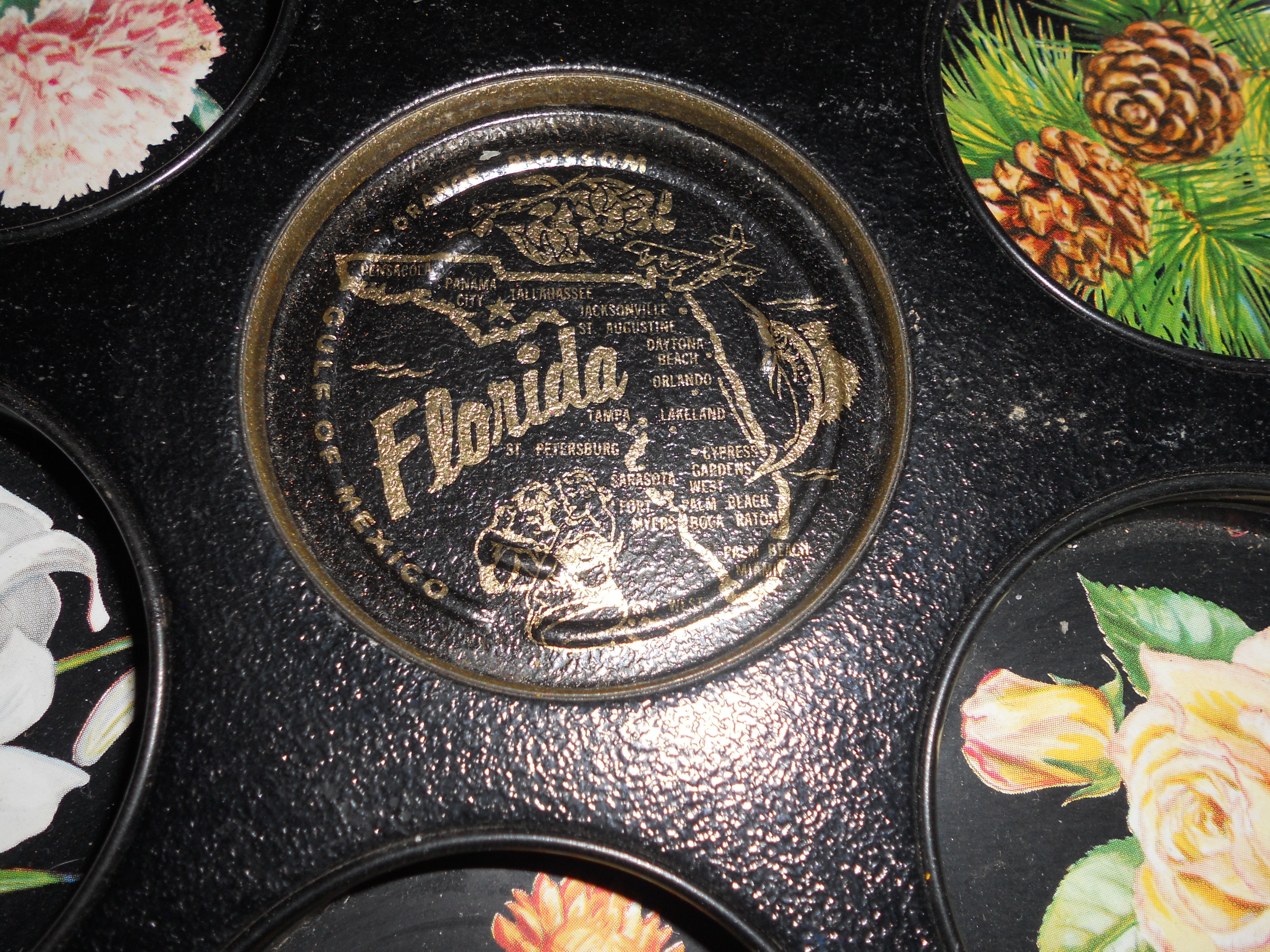 Florida Souvenir Tin Drink Serving Tray