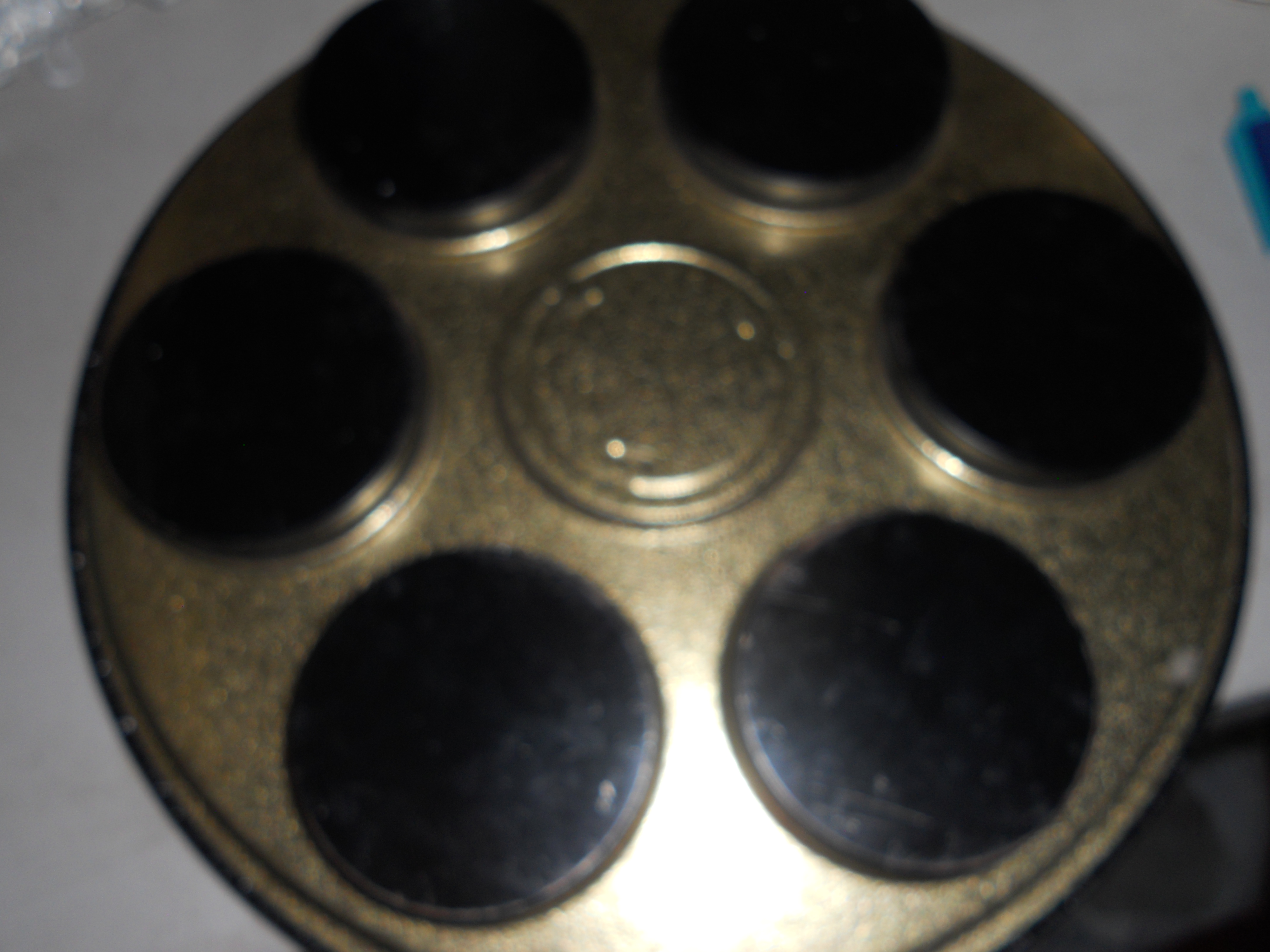 Florida Souvenir Tin Drink Serving Tray