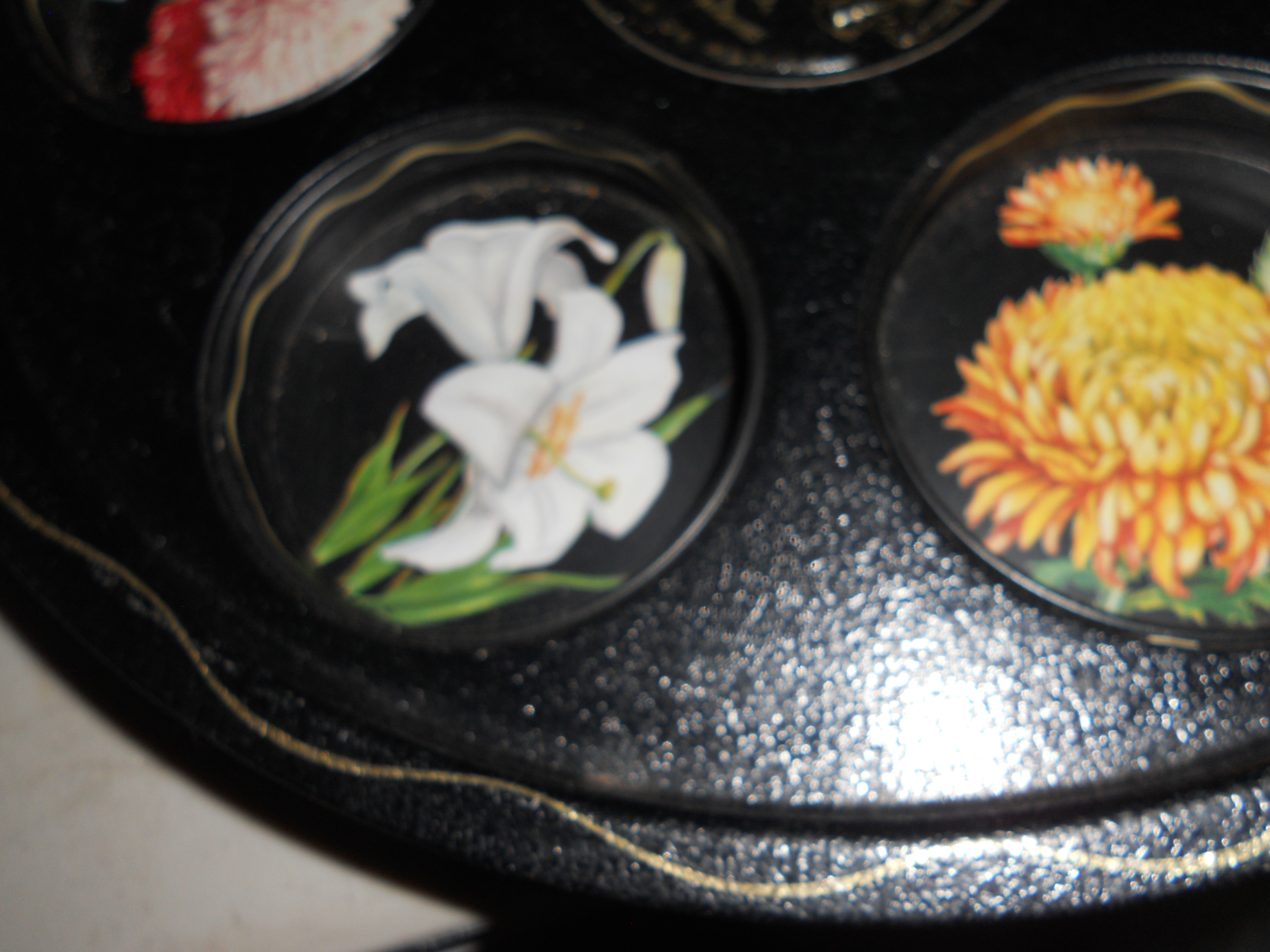 Florida Souvenir Tin Drink Serving Tray