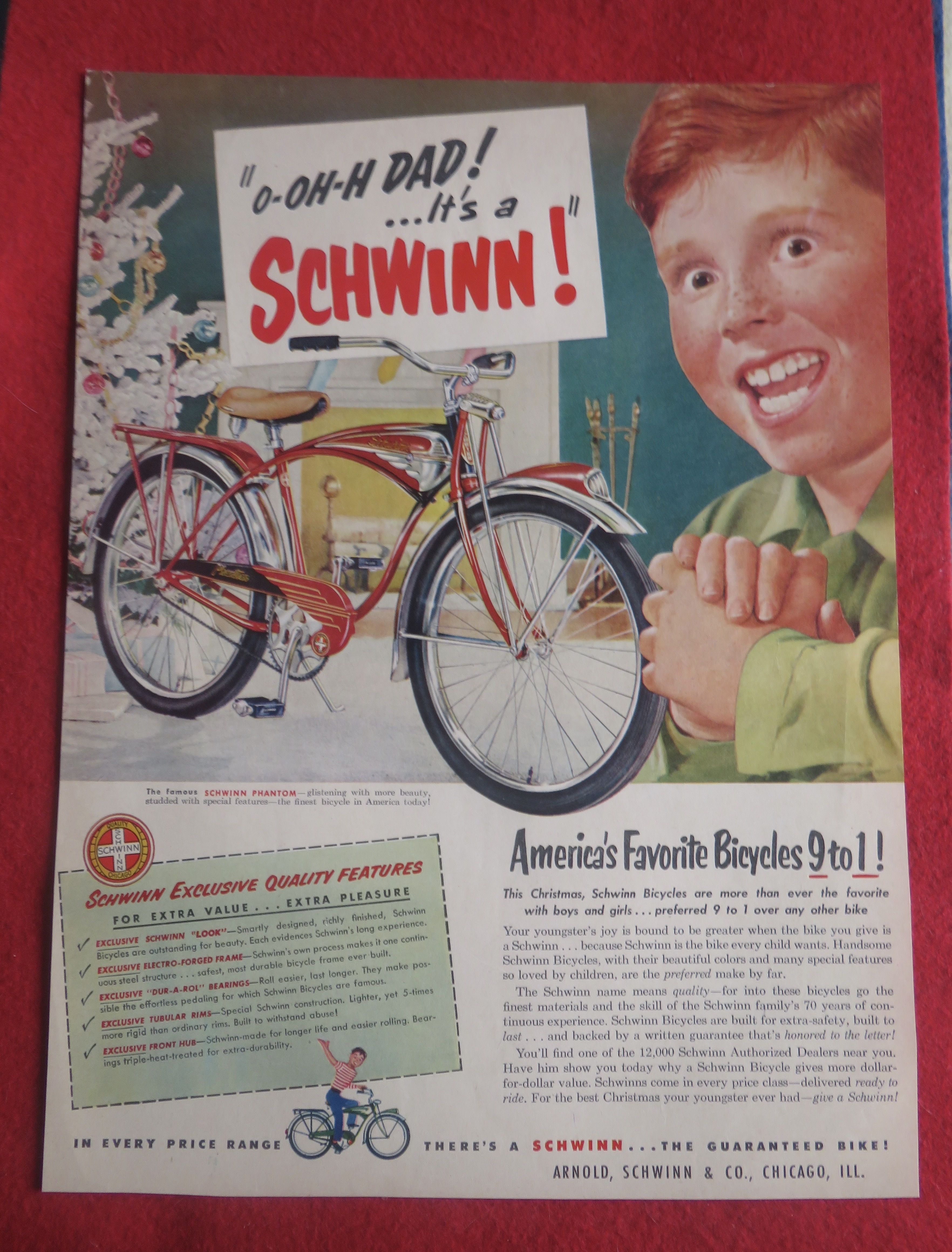1951 Schwinn Bicycle with Boy Smiling