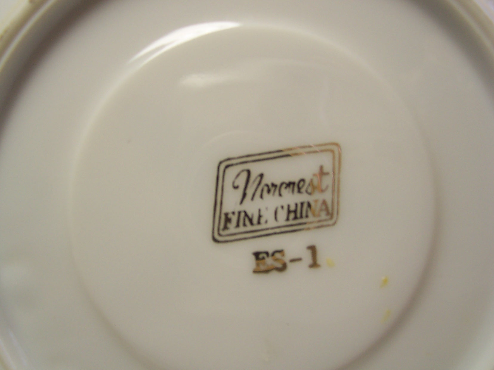 Eastern Star Cup and Saucer Set Norcrest
