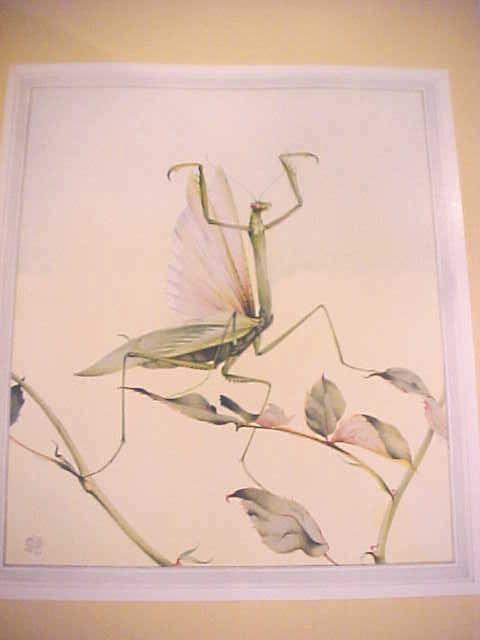 Fabre's Book of Insects Illus by Detmold 1937