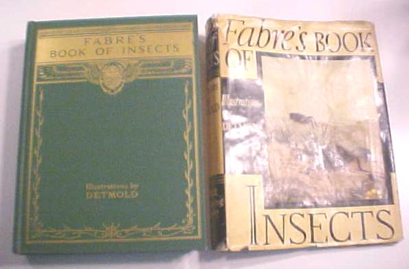 Fabre's Book of Insects Illus by Detmold 1937