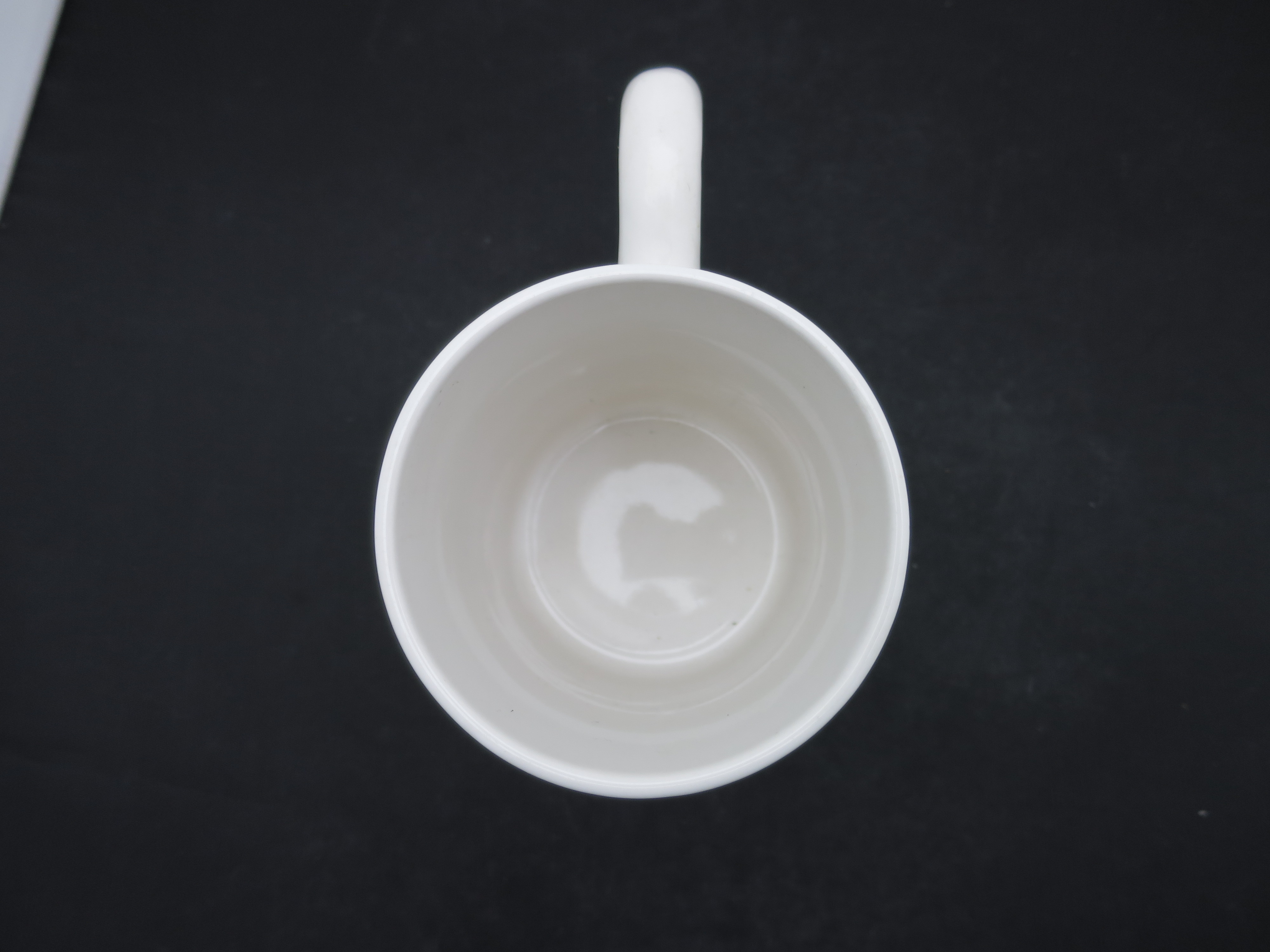 Coca Cola Polar Bear Cup Mug Gibson 1999
