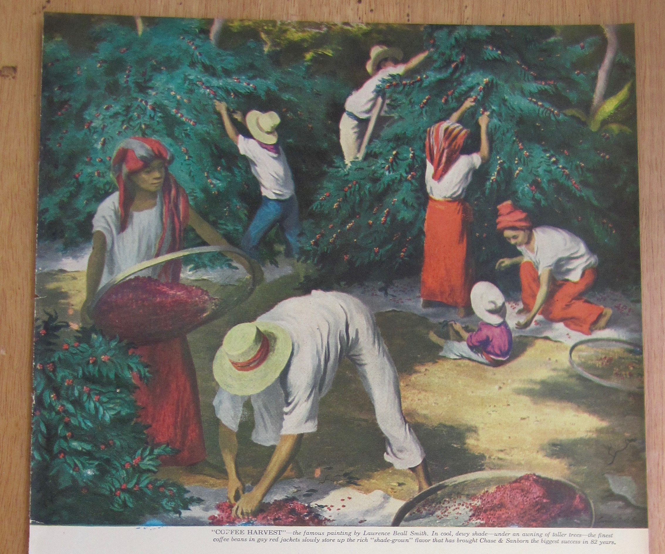 1946 Chase & Sanborn Coffee w/ Coffee Harvest By Smith