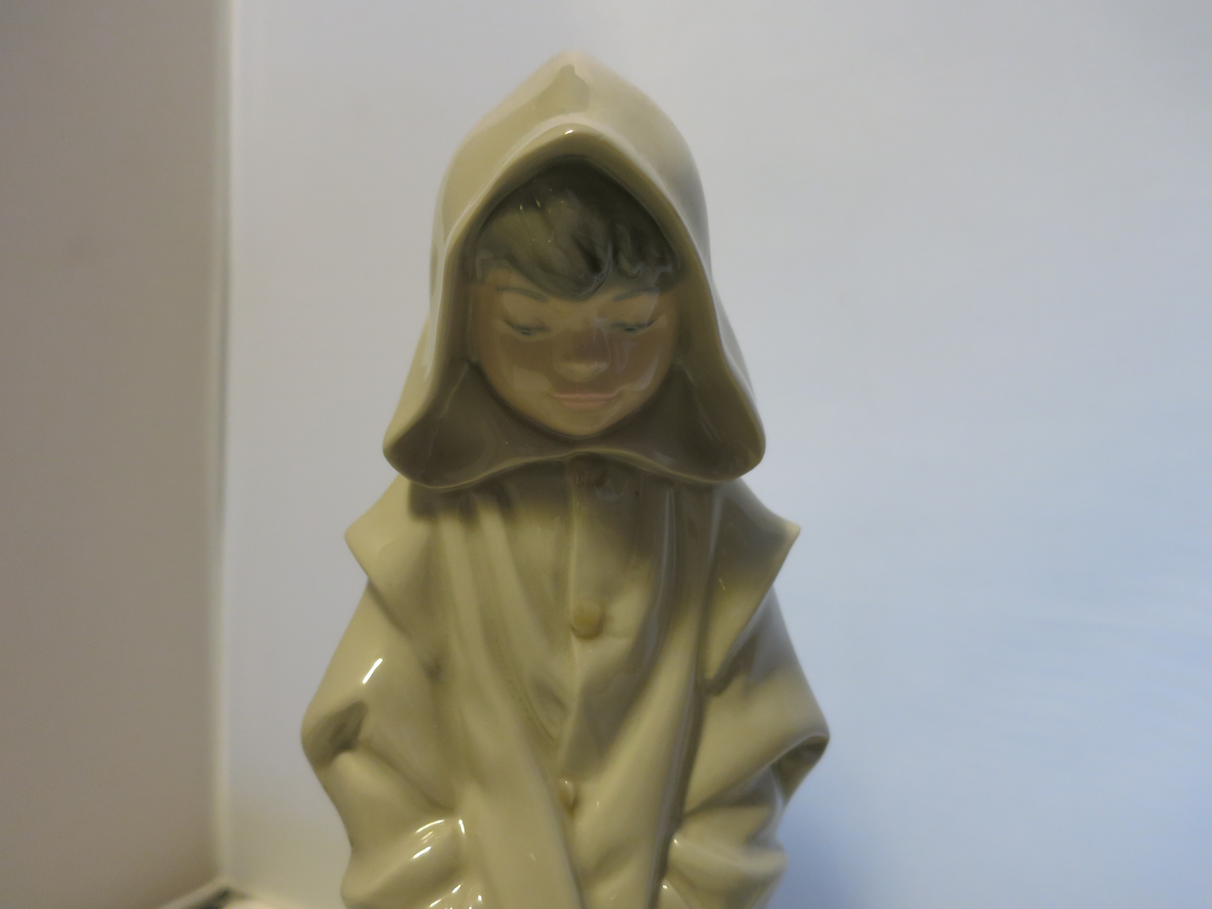 Nao Lladro Boy in Hood Coat Figurine Look Down at Dog