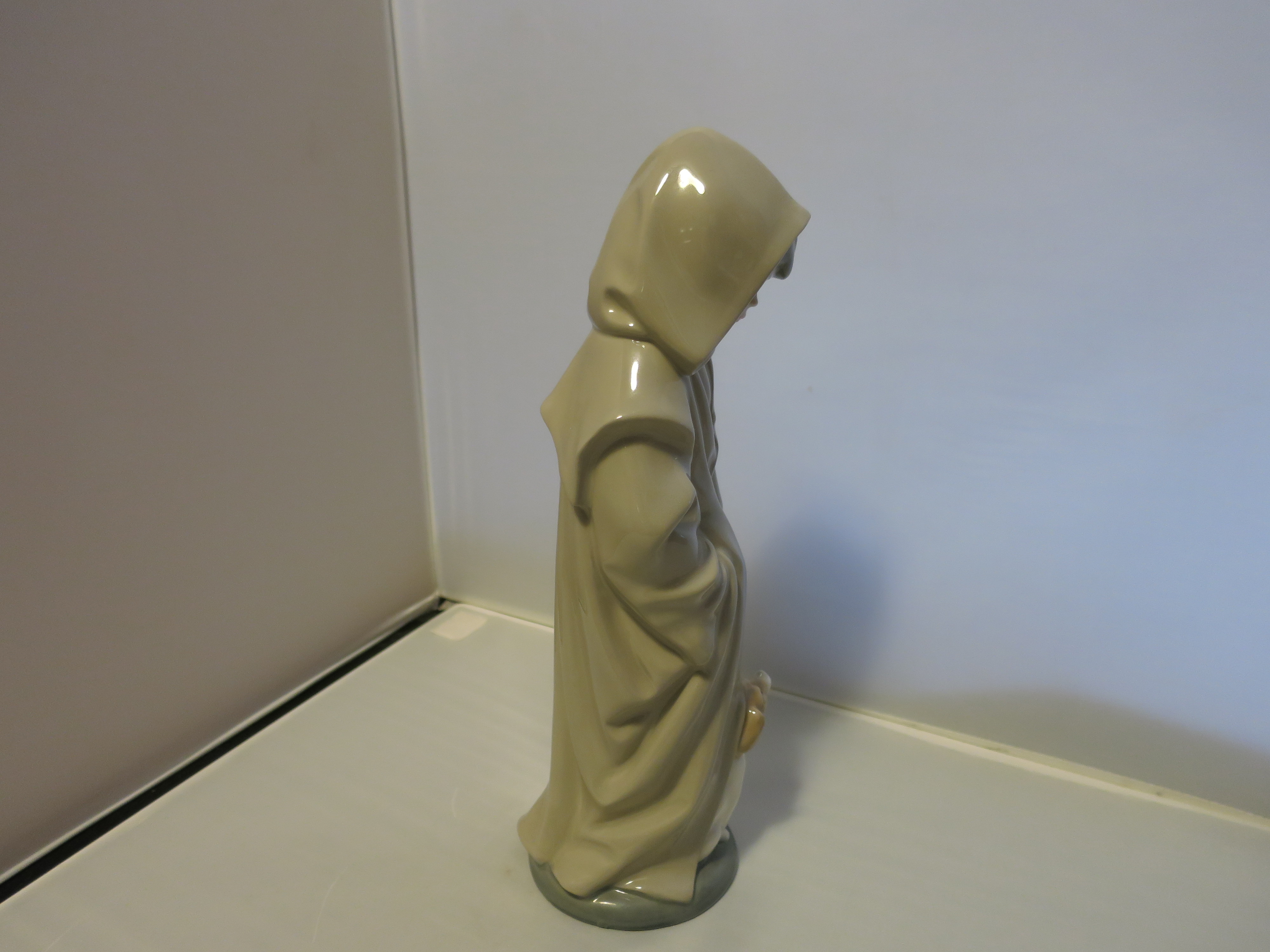 Nao Lladro Boy in Hood Coat Figurine Look Down at Dog