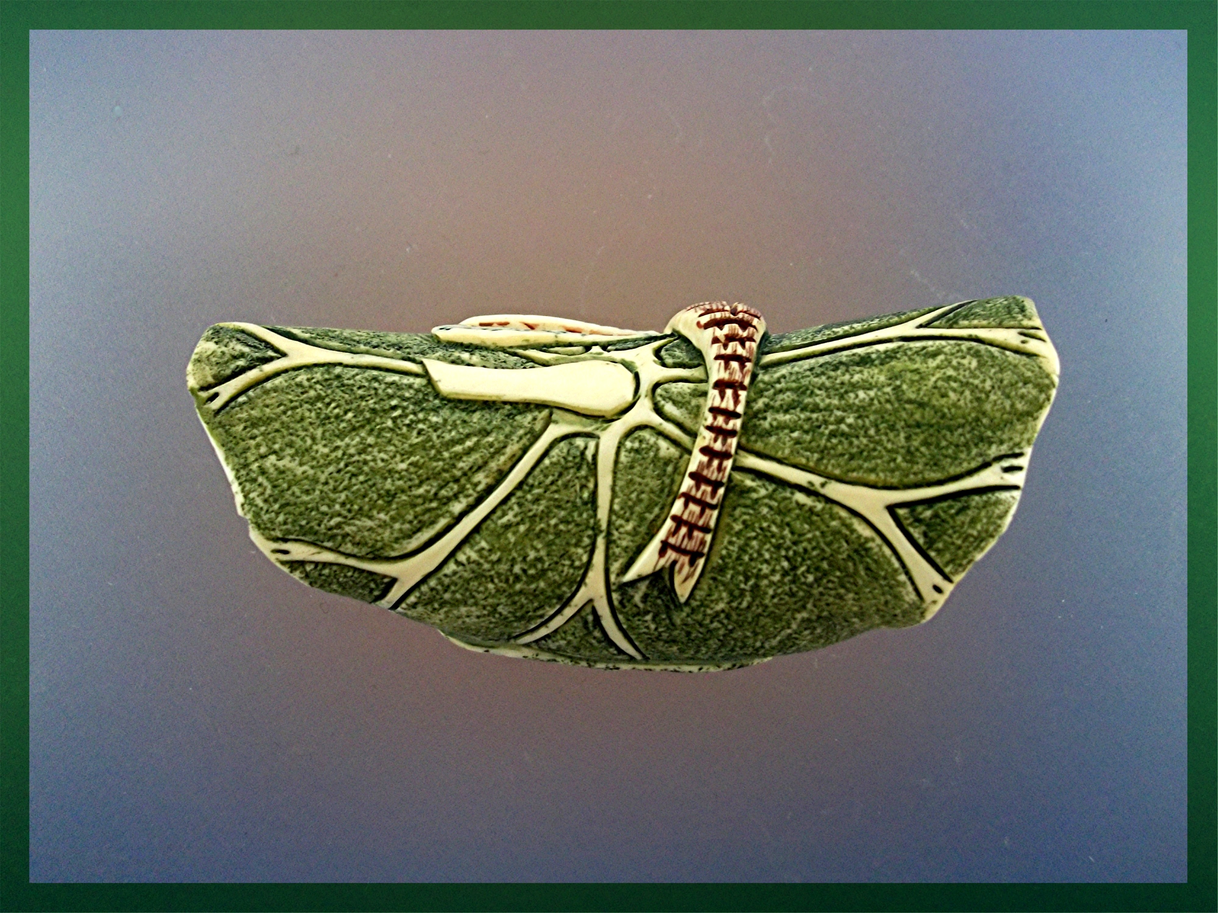 Necklace  Black Cord Dragonfly Bone Hand Made
