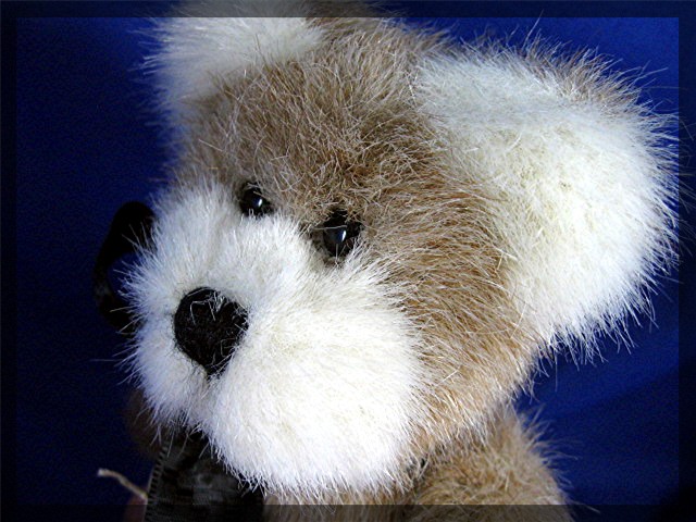 Boyds Bears - Bristol B. Winsor. The archive collection