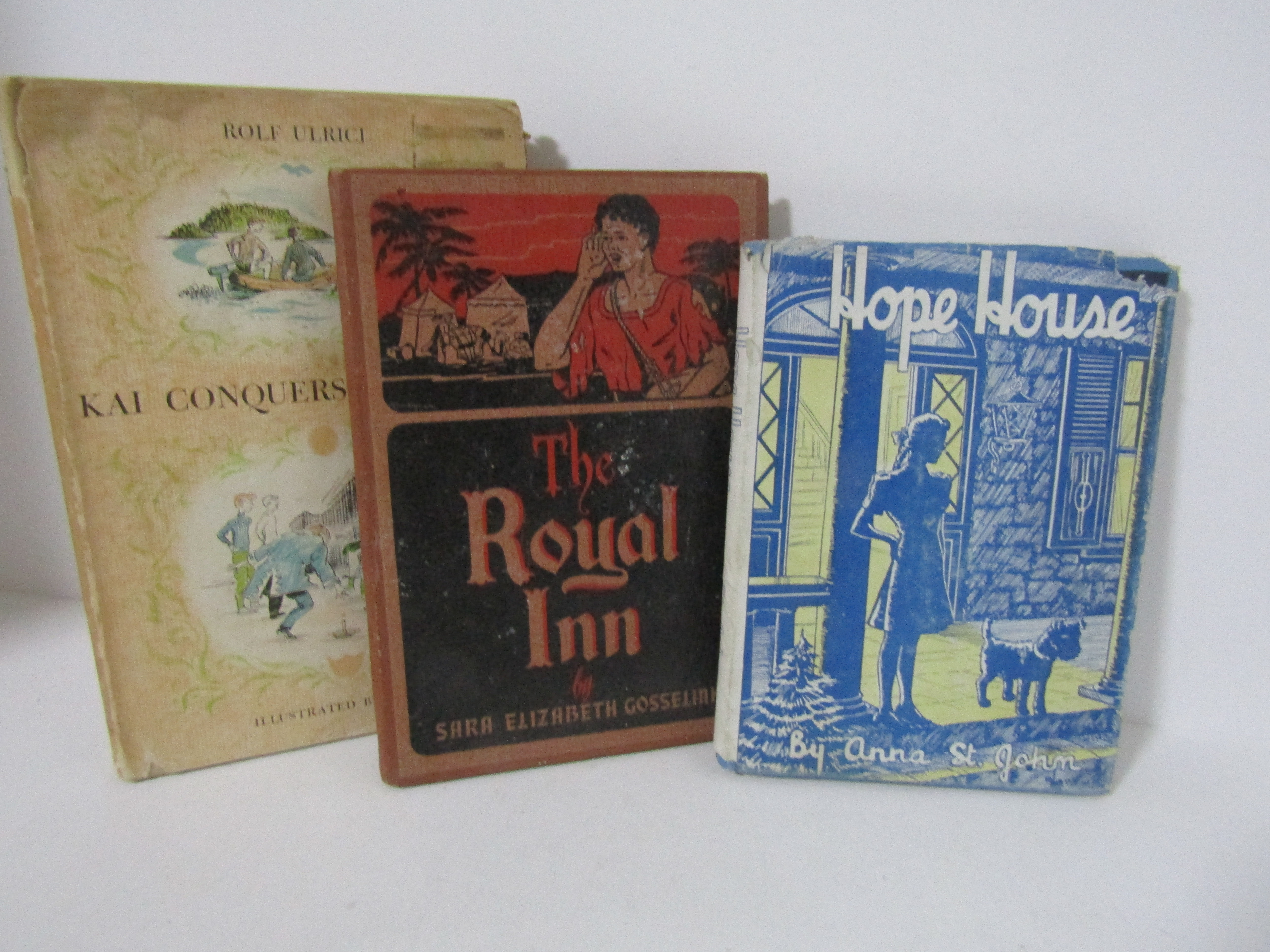 Books Hope House The Royal Inn & Kai Conquers Brixholm