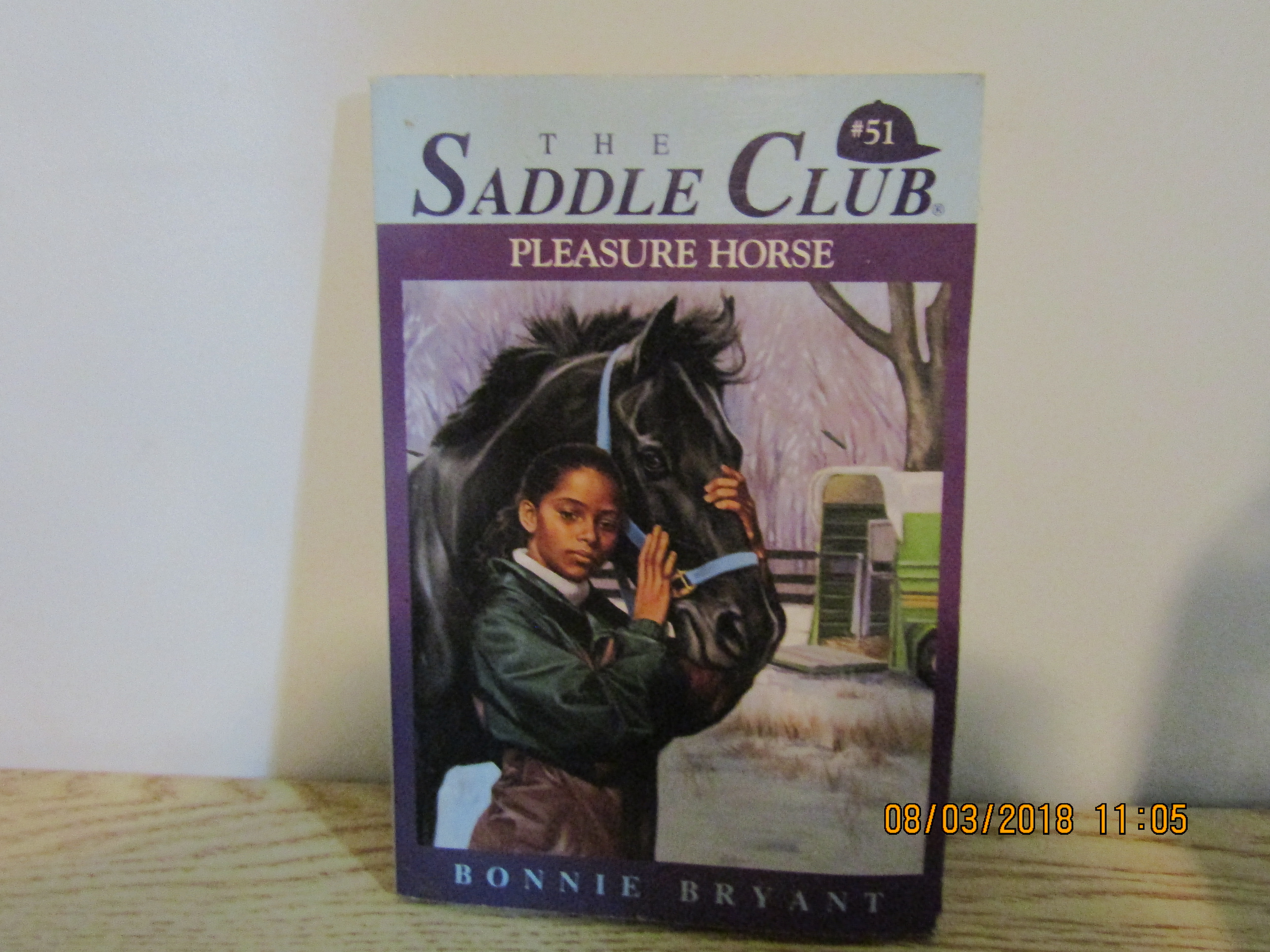 Young Girls Book The Saddle Club Pleasure Horse