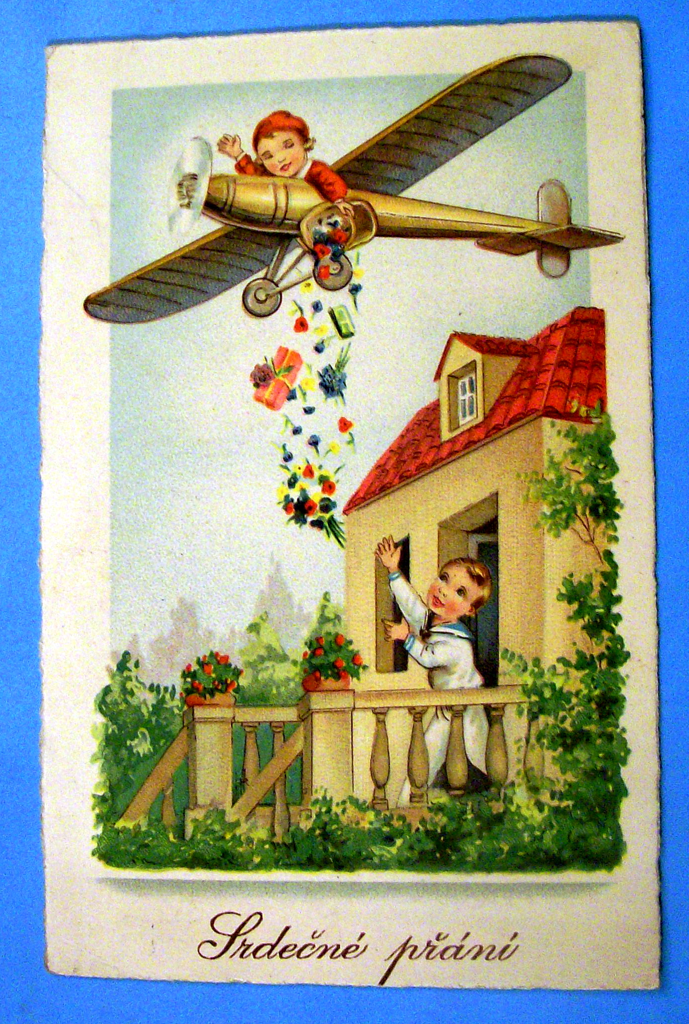 Lrdeine Prani Postcard