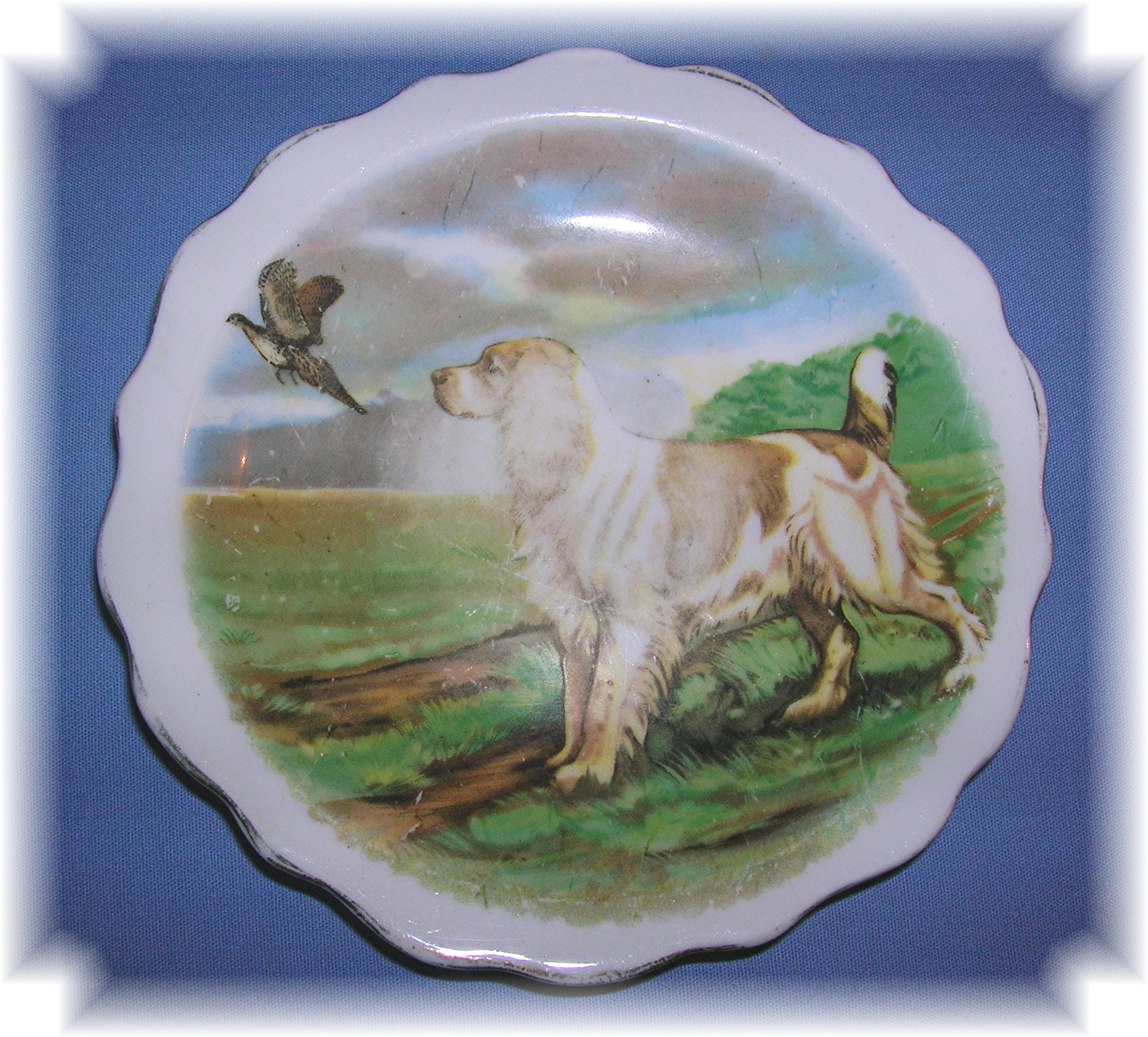 Roslyn Fine Bone China Plate Made In England.